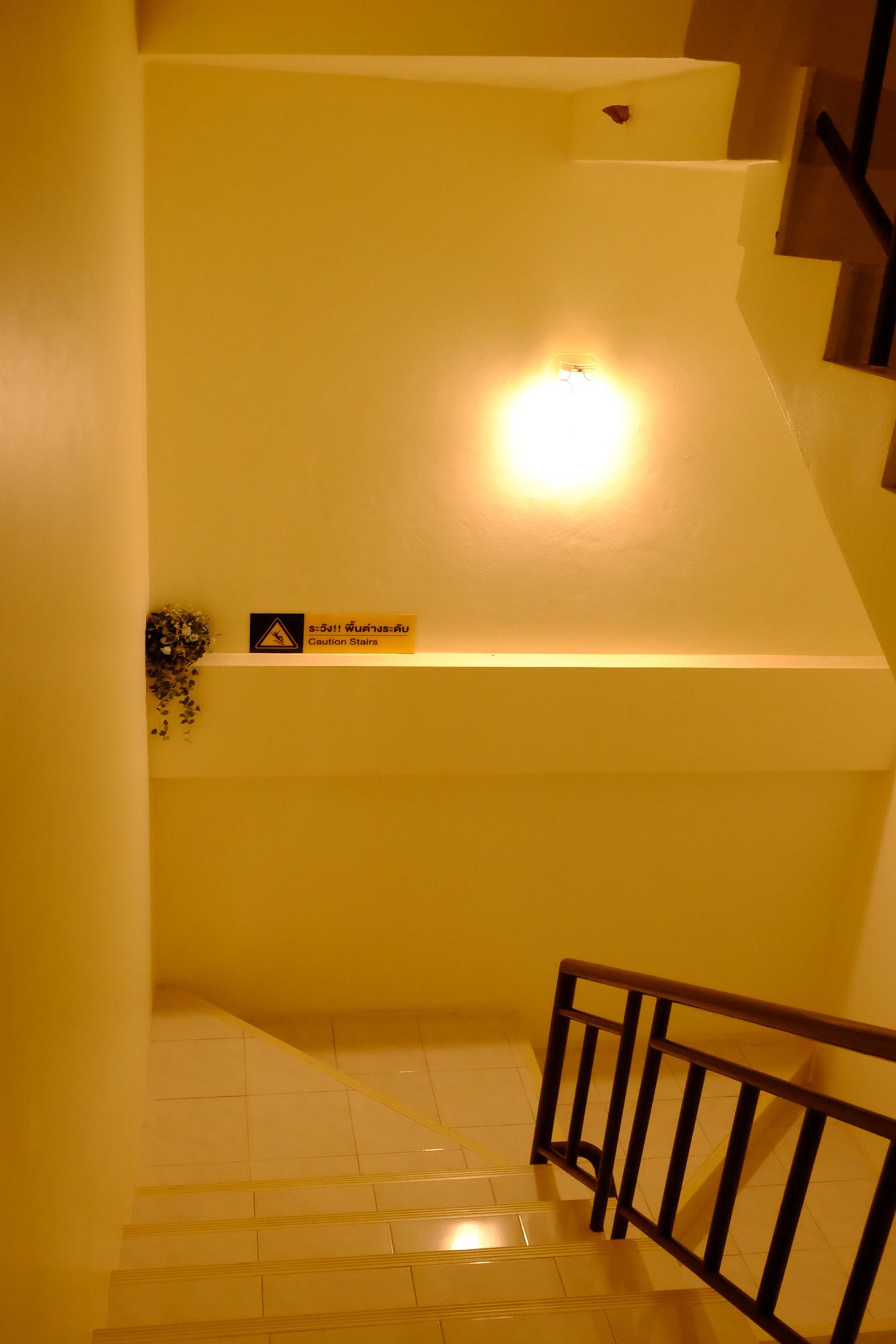 Фото Alisa Krabi Hotel