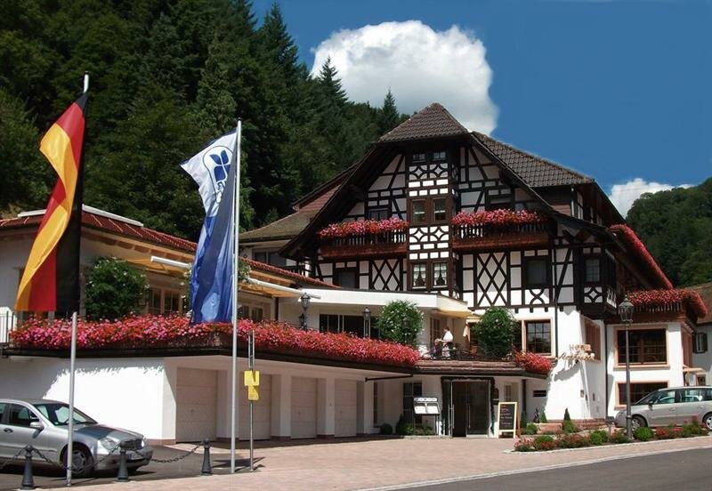 Гостиница Flair Hotel Adlerbad