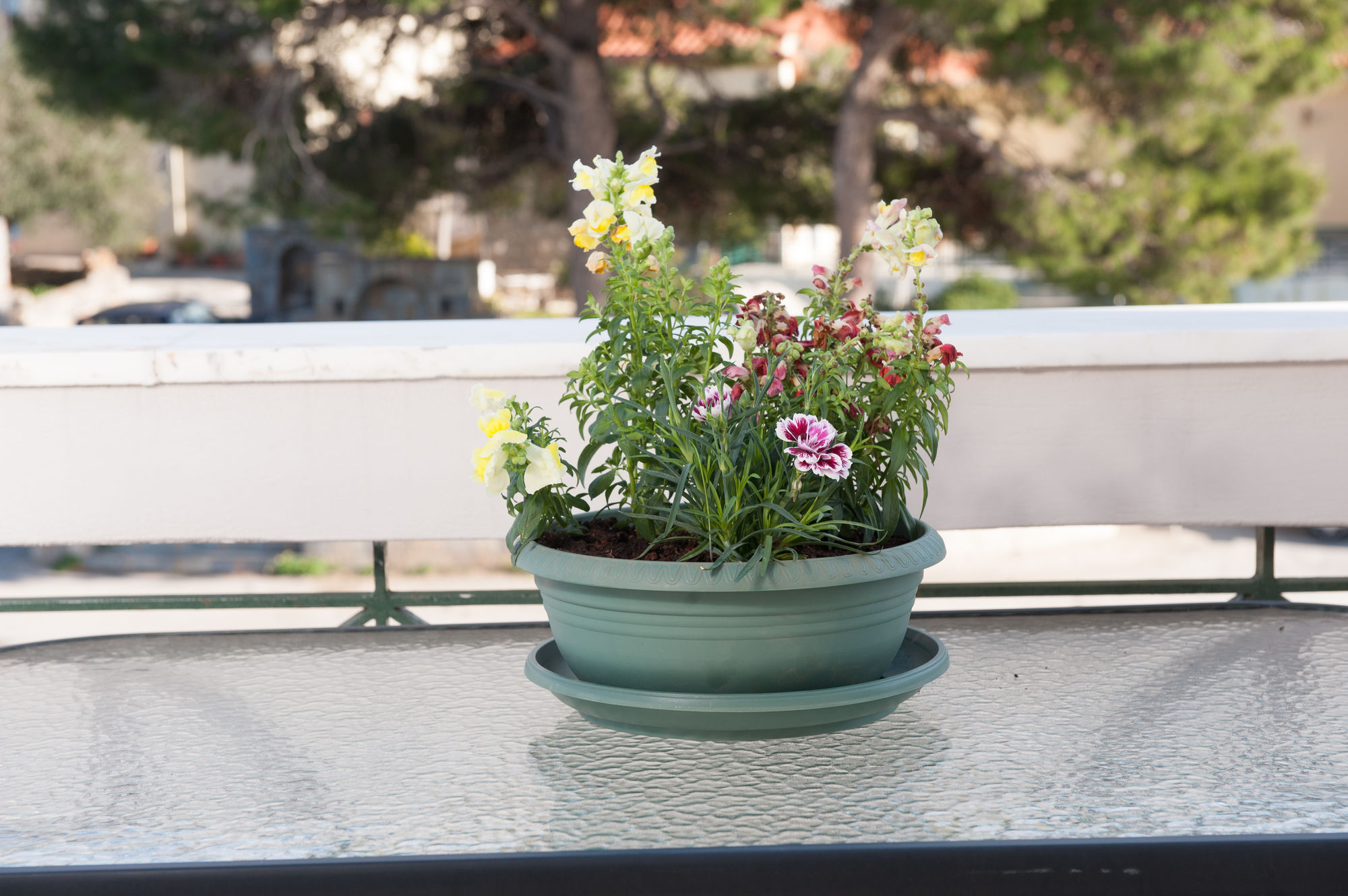 Фото Dialinas Apartments