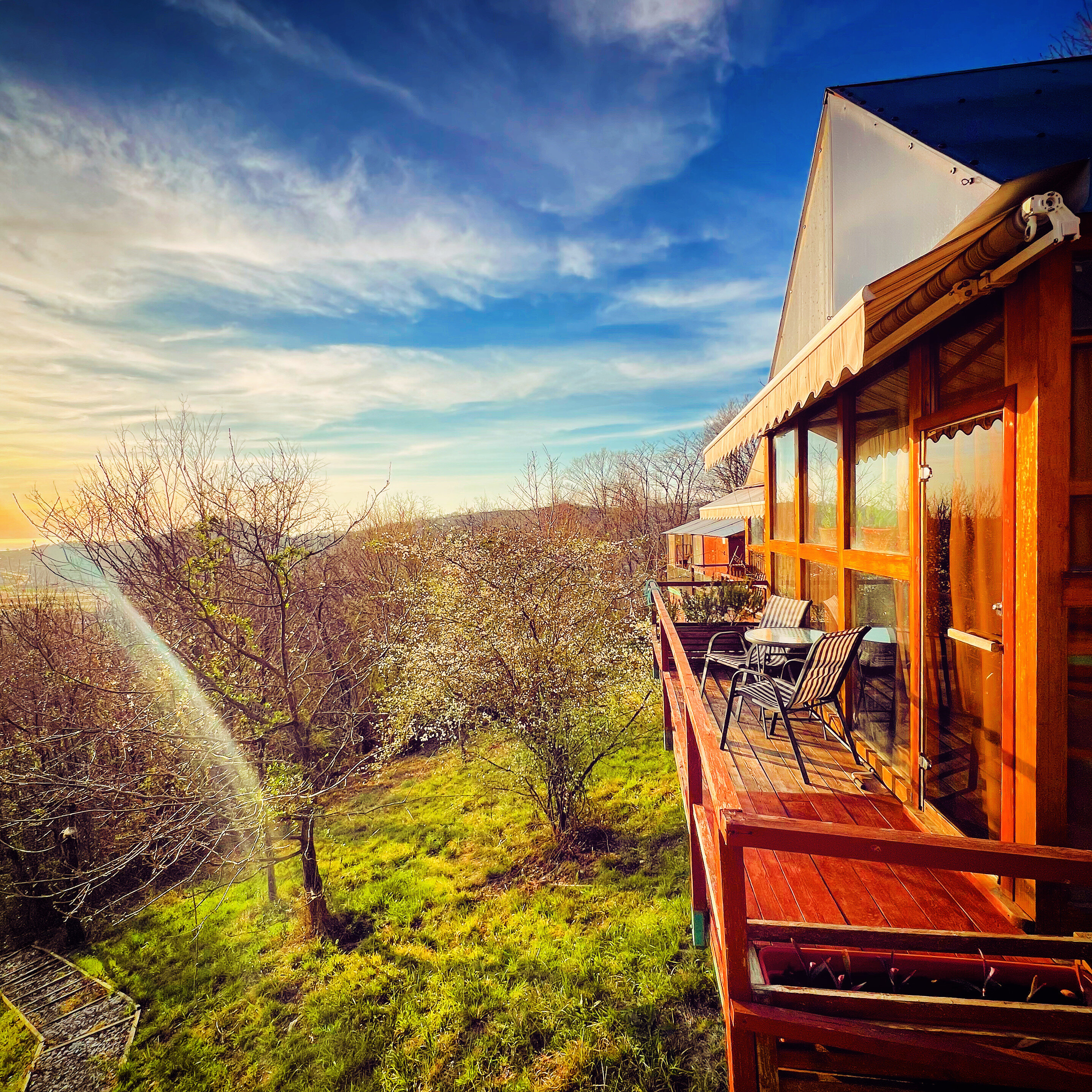 Фото Оранжереи