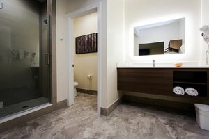 Гостиница Palace Inn Blue Us 59 & Gessner