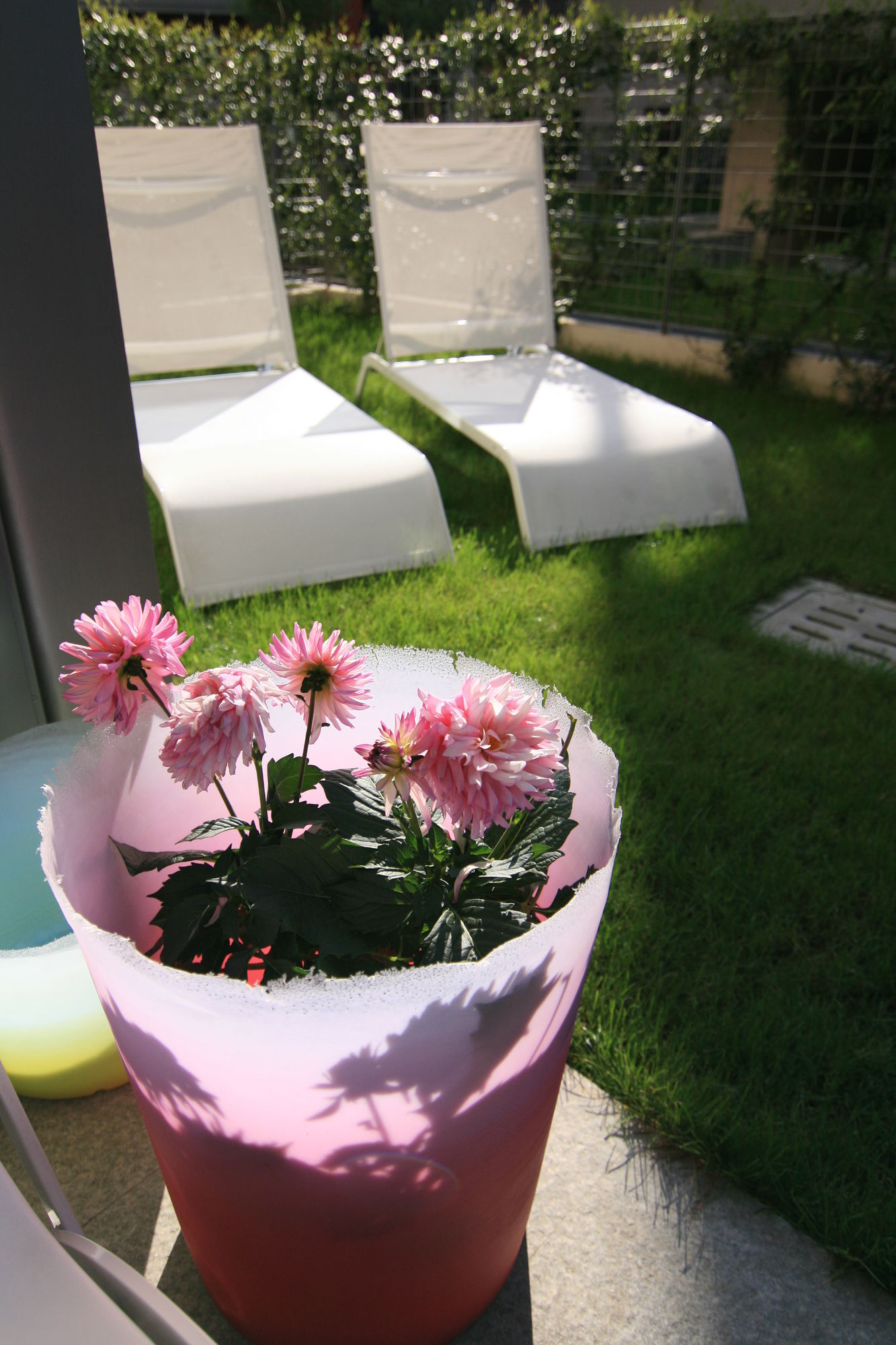 Фото Experience Design Bed & Show