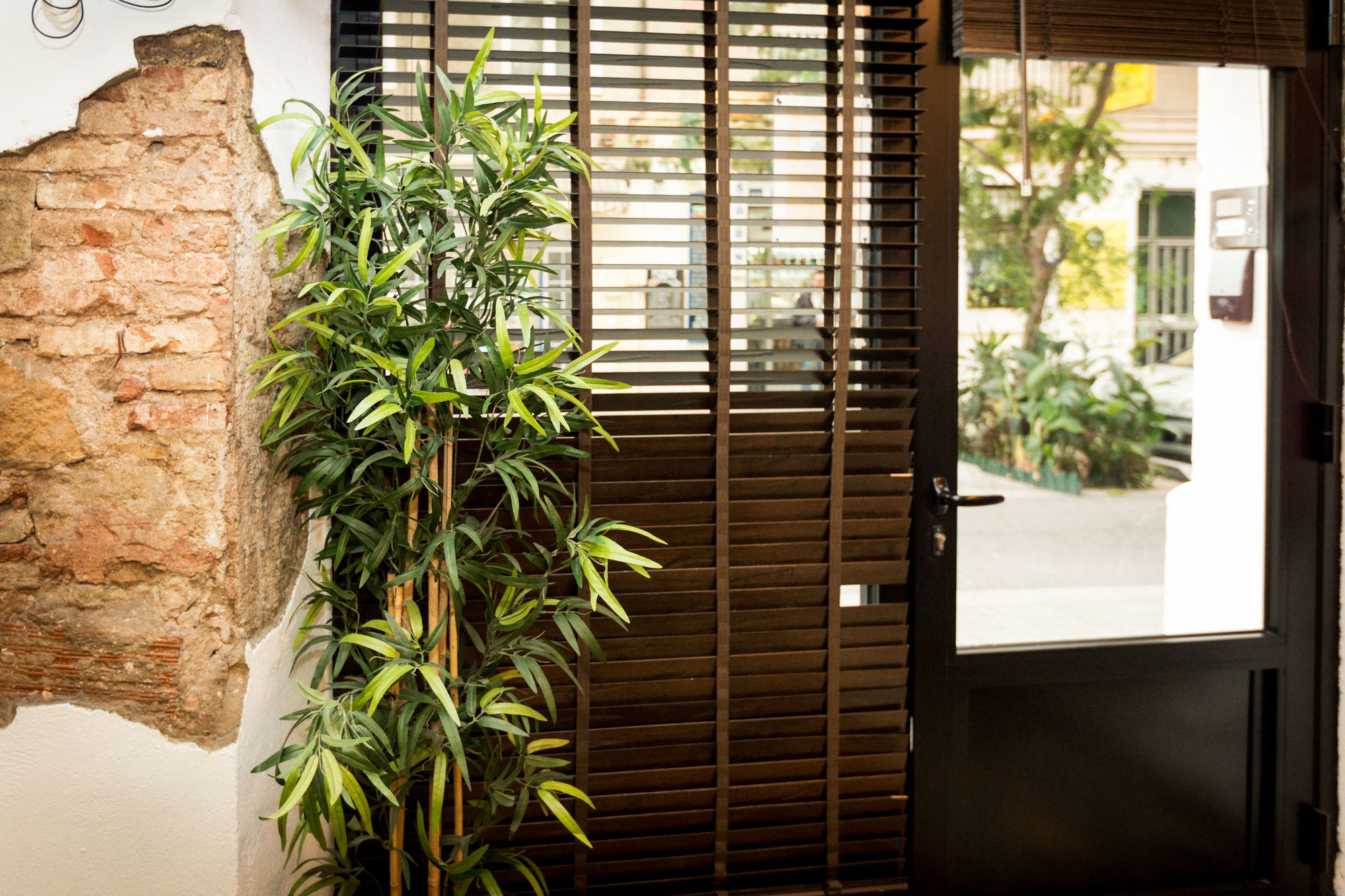 Фото Mambo Tango