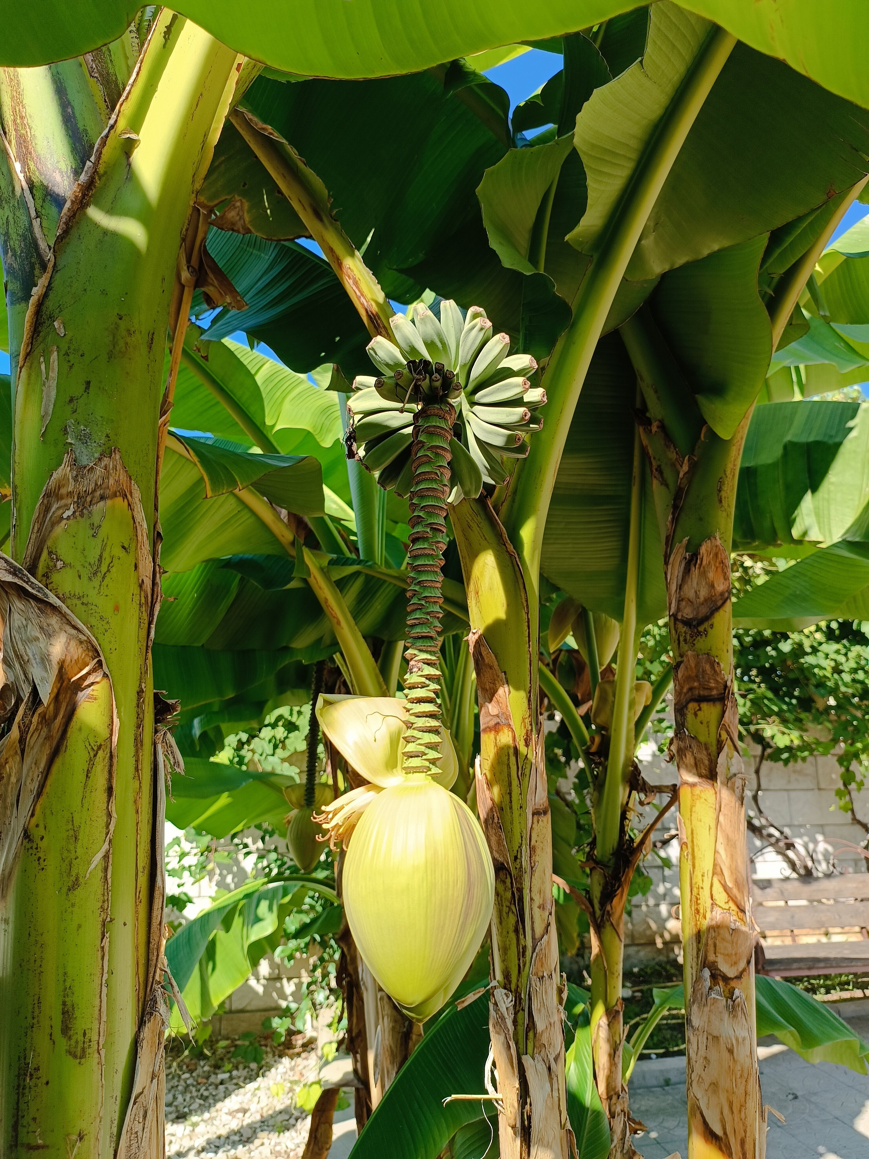 Фото Villa Familia