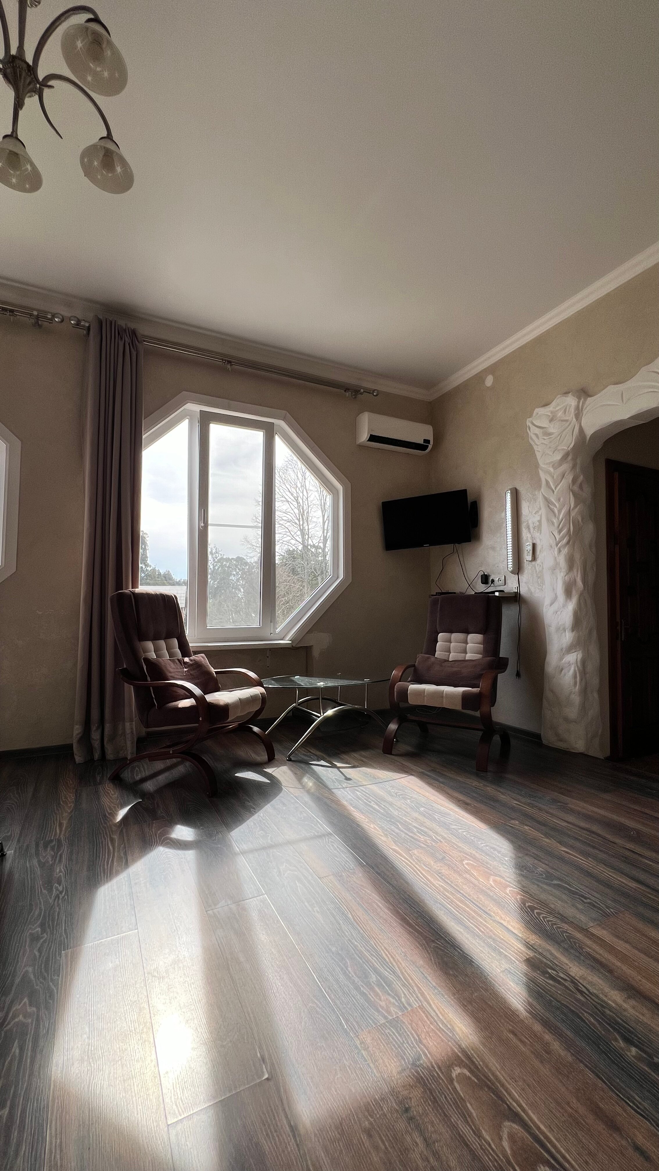 Фото Эвкалипт