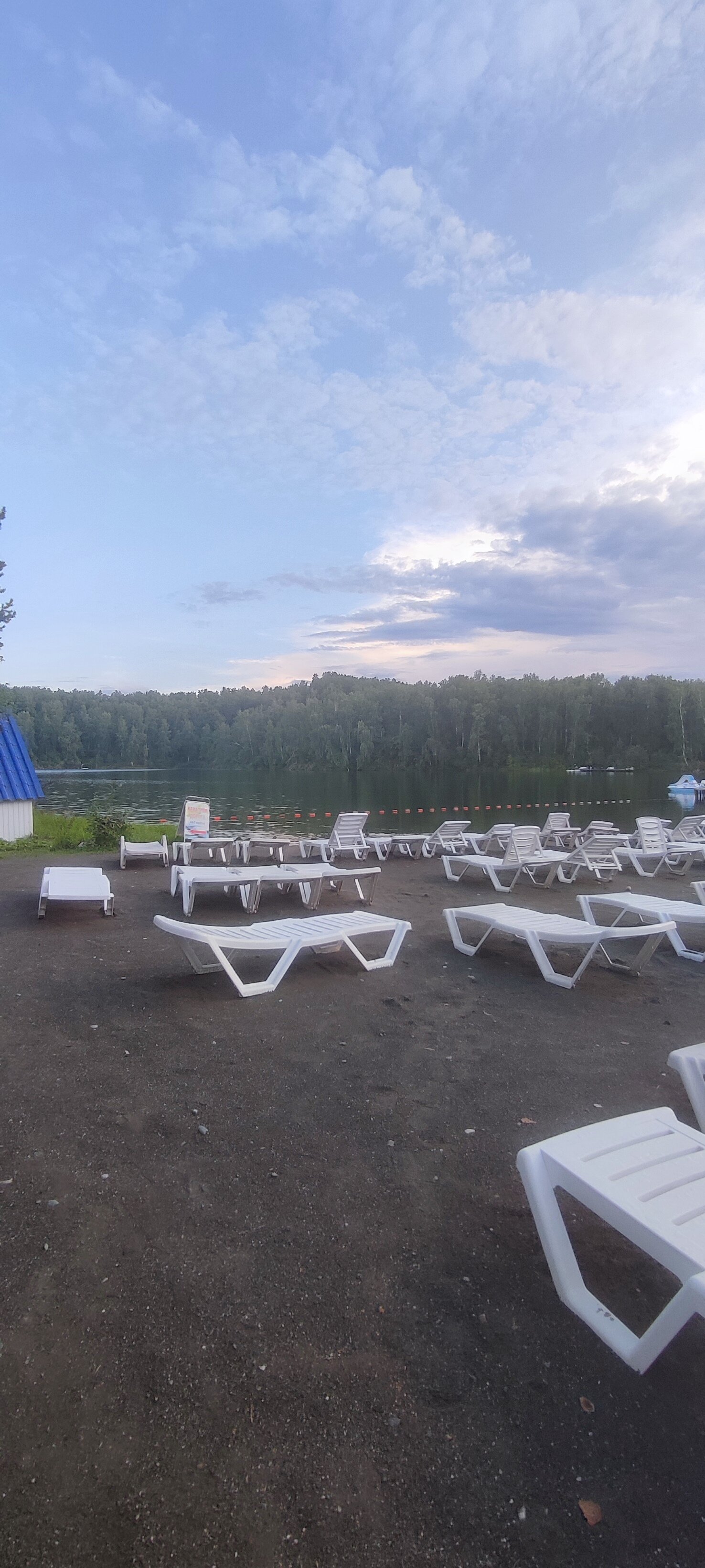 Фото Берёзка