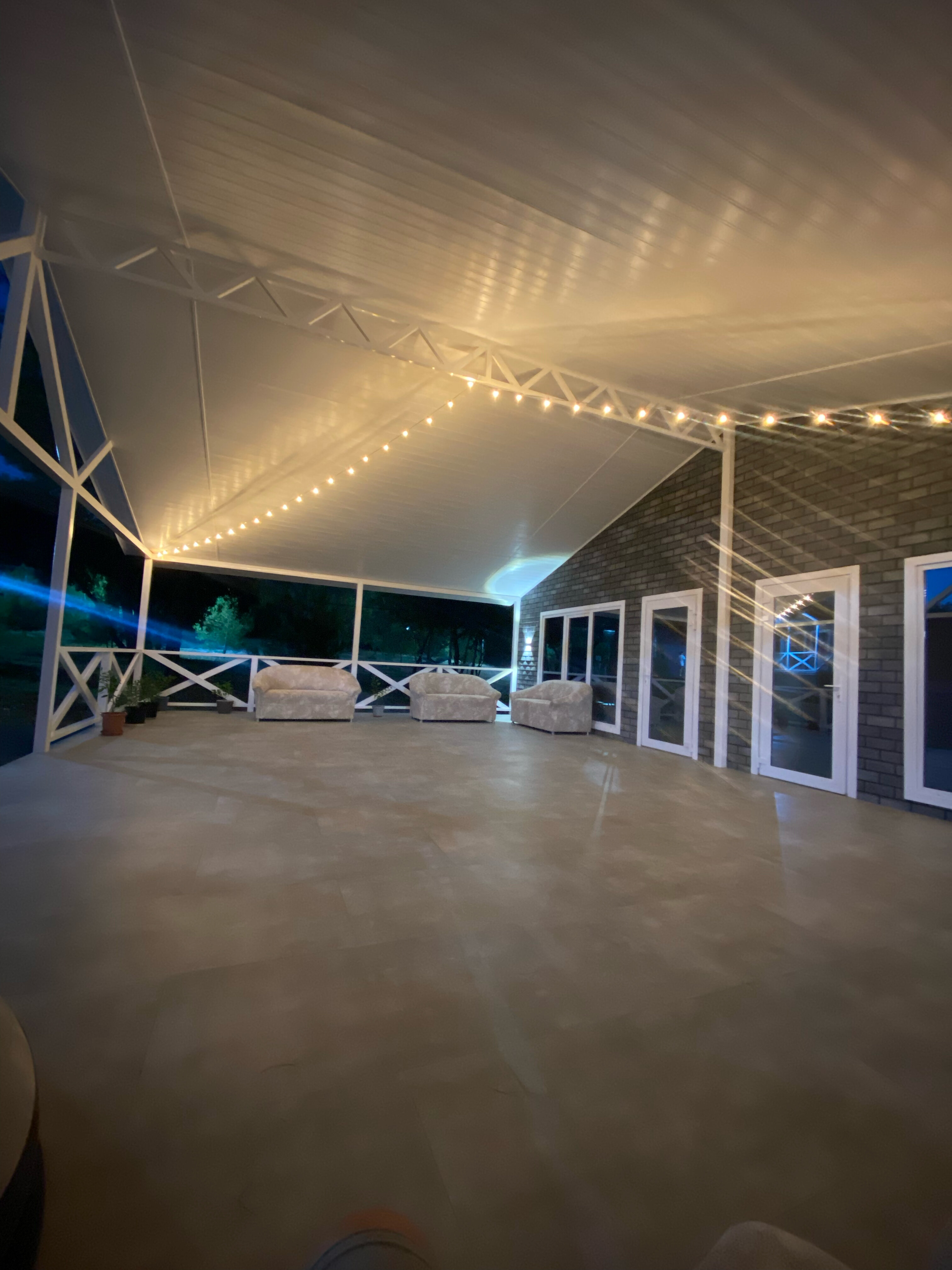 Фото Елки и Иголки