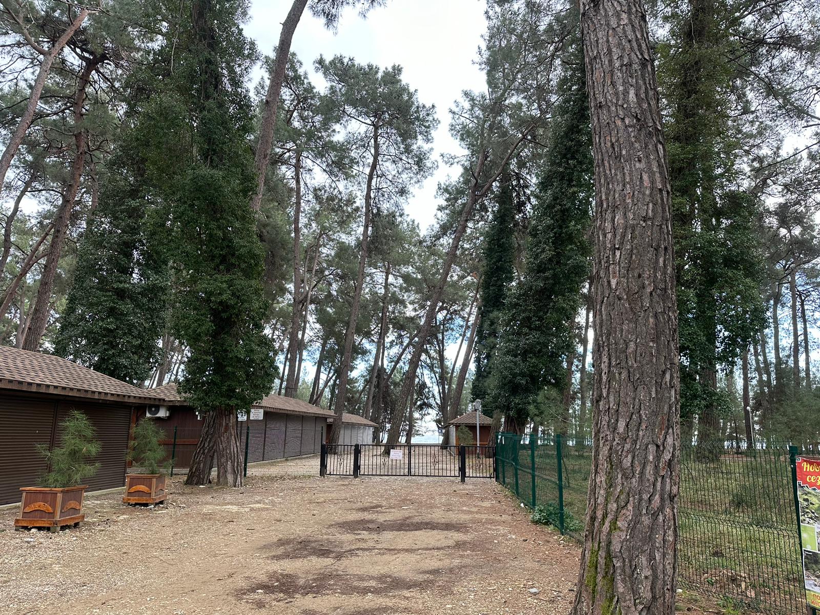 Фото Гостевой дом Мира