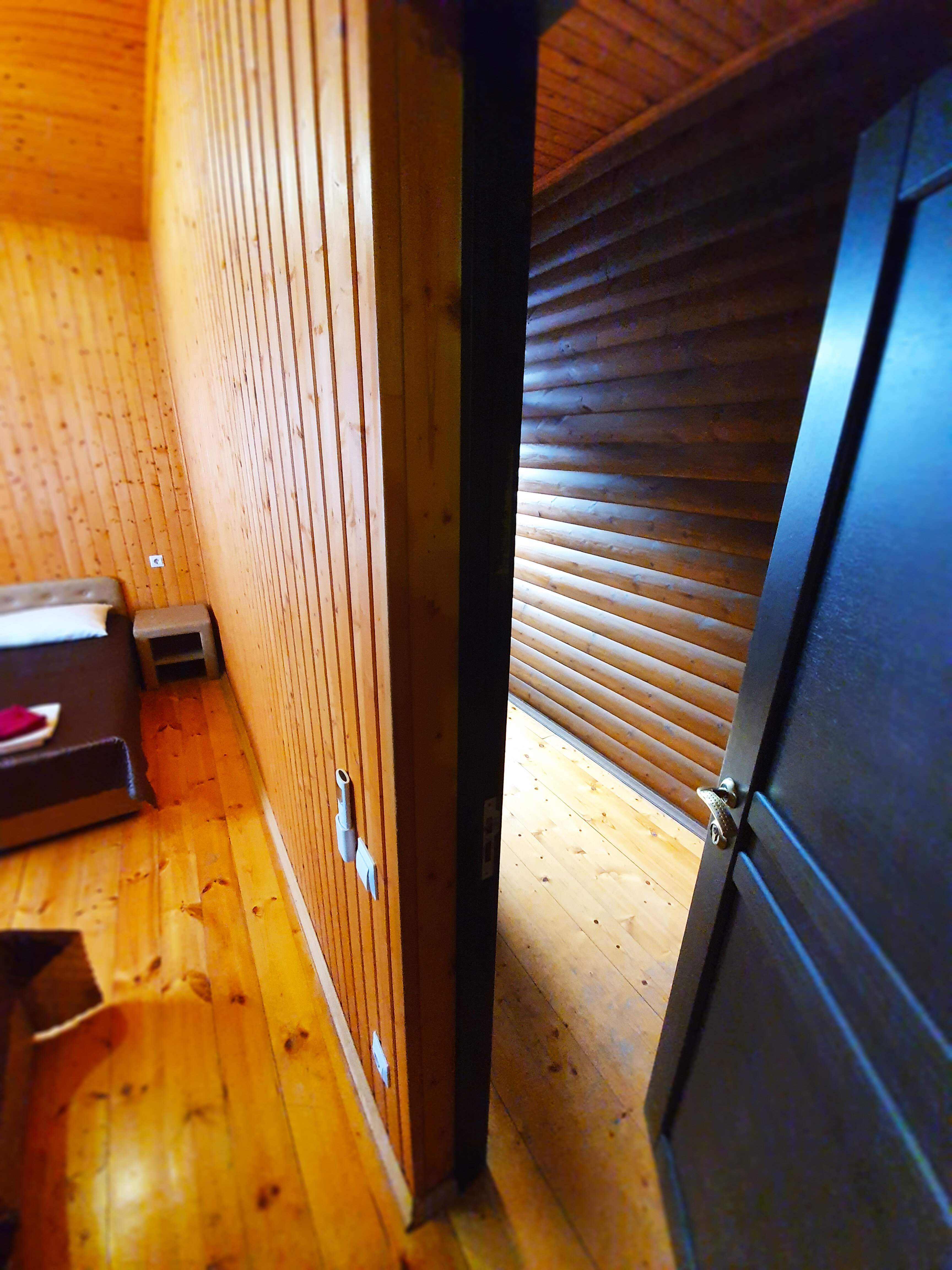 Фото Гостевой дом Пальма