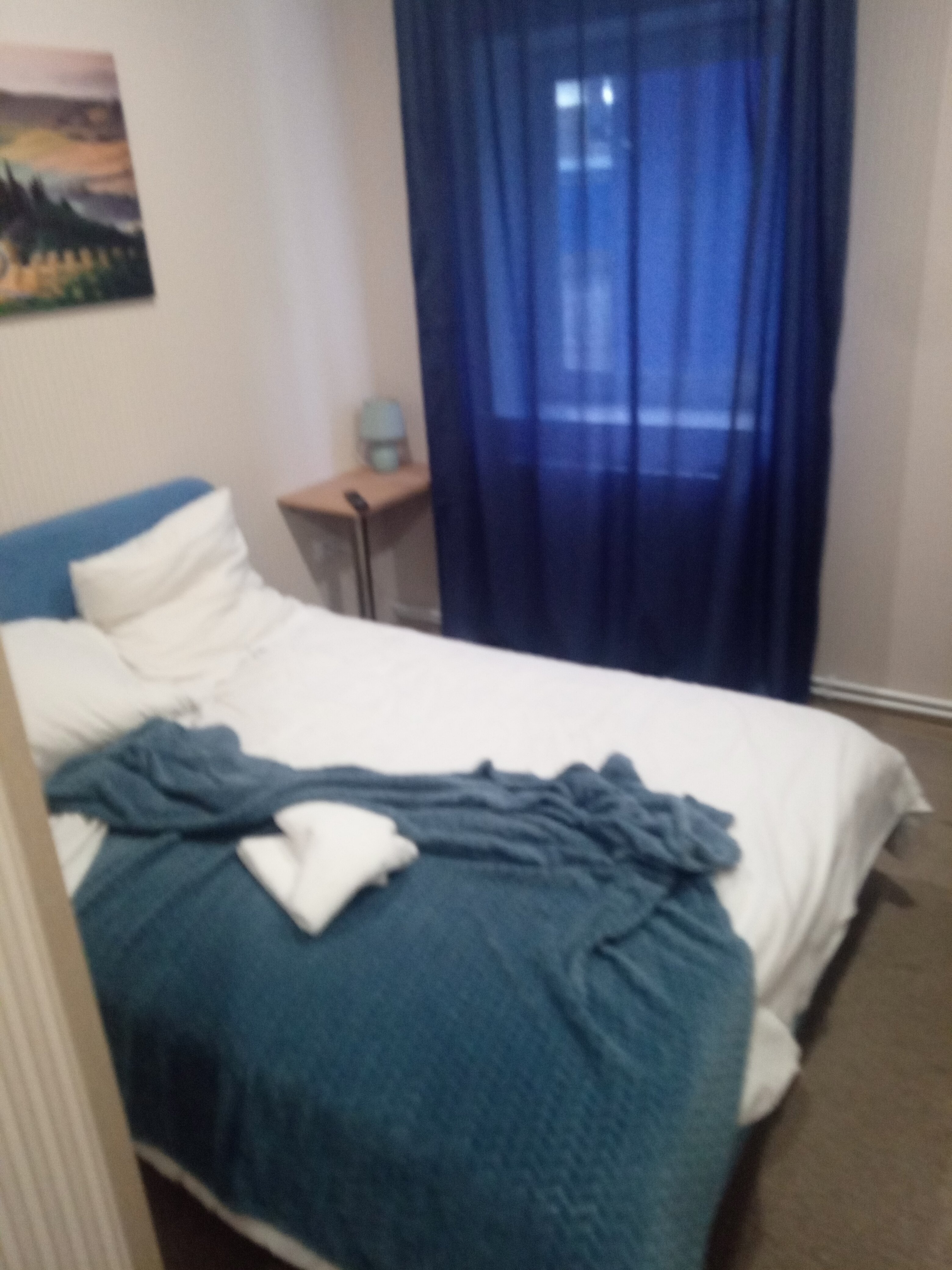 Фото Фриссон