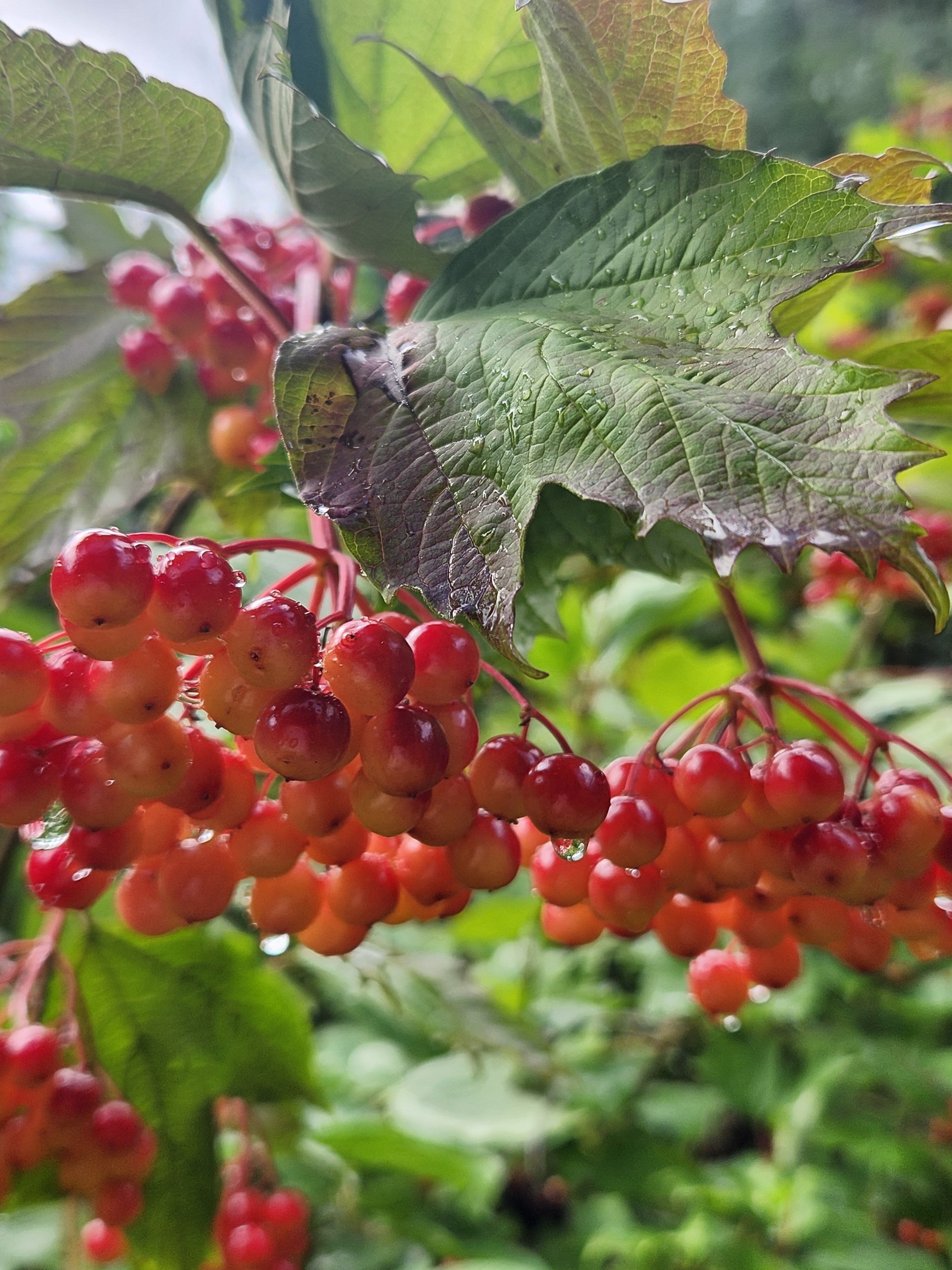 Фото Театральный