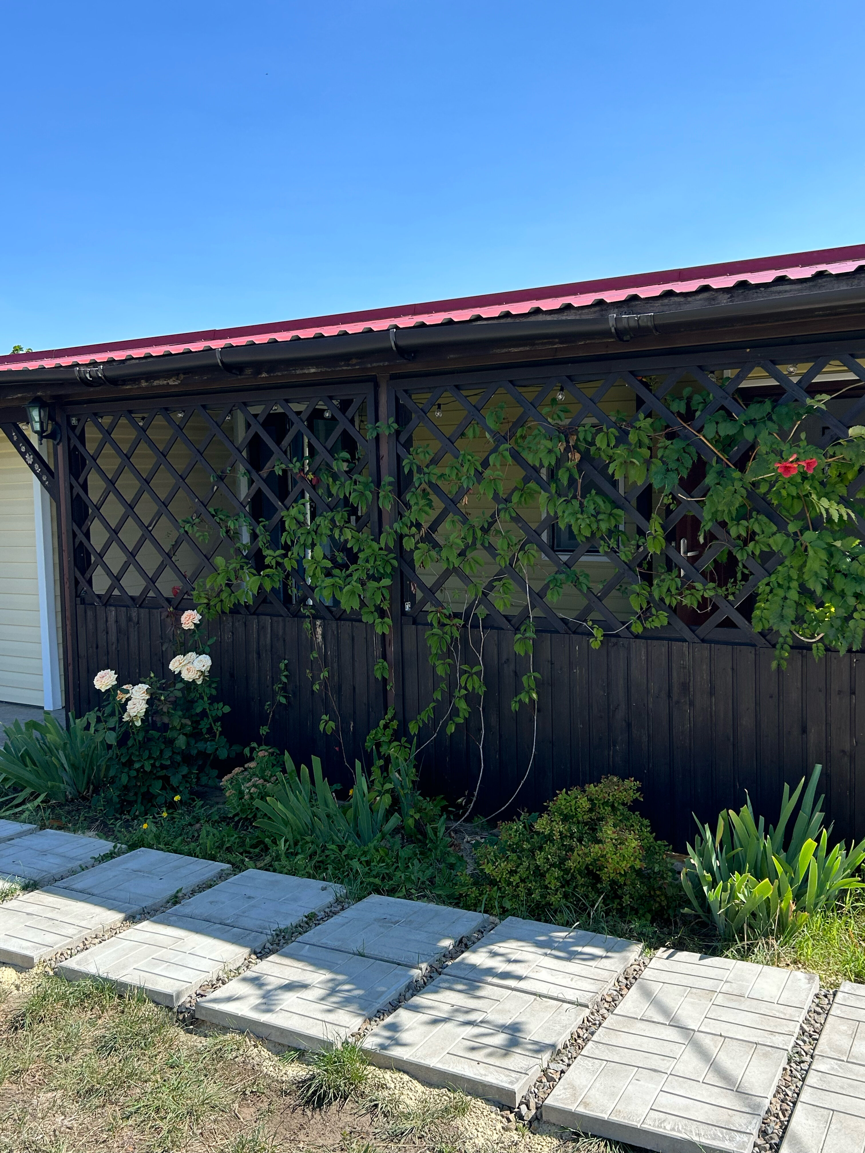 Фото Мишкина Дача