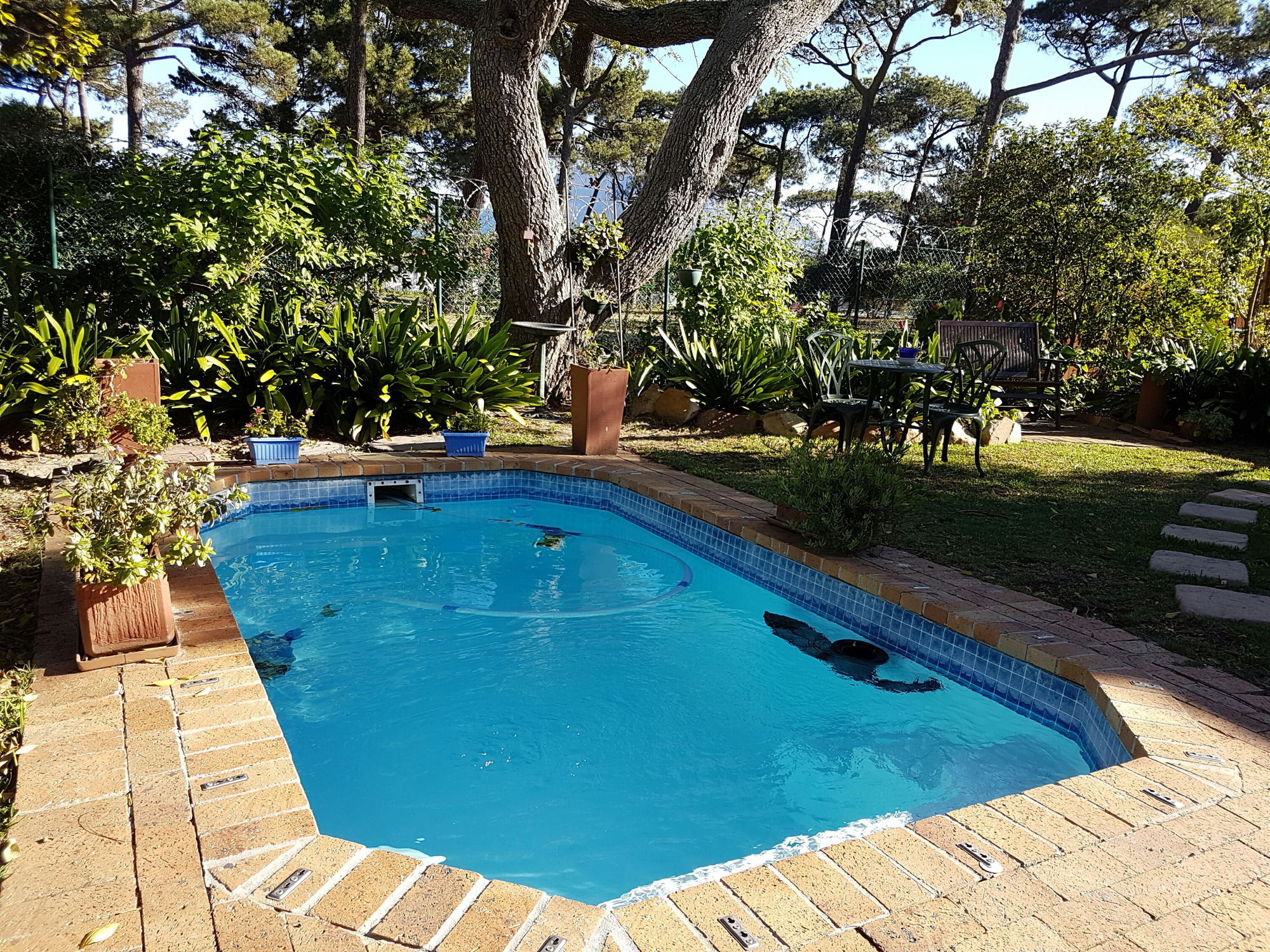 Фото Bradclin House