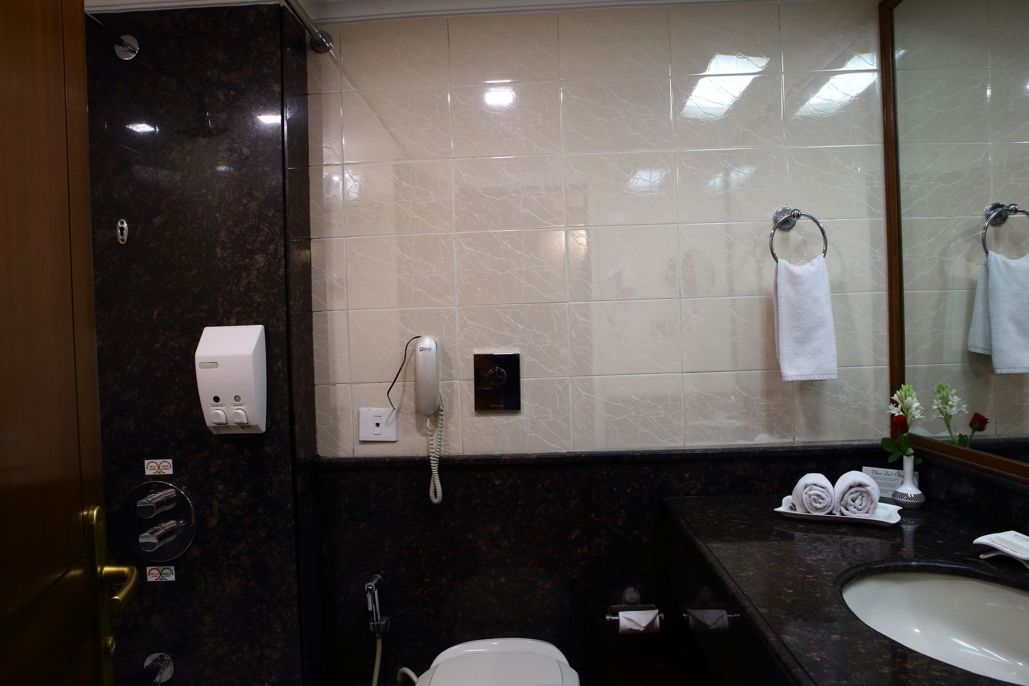 Фото Gemini Continental Lucknow