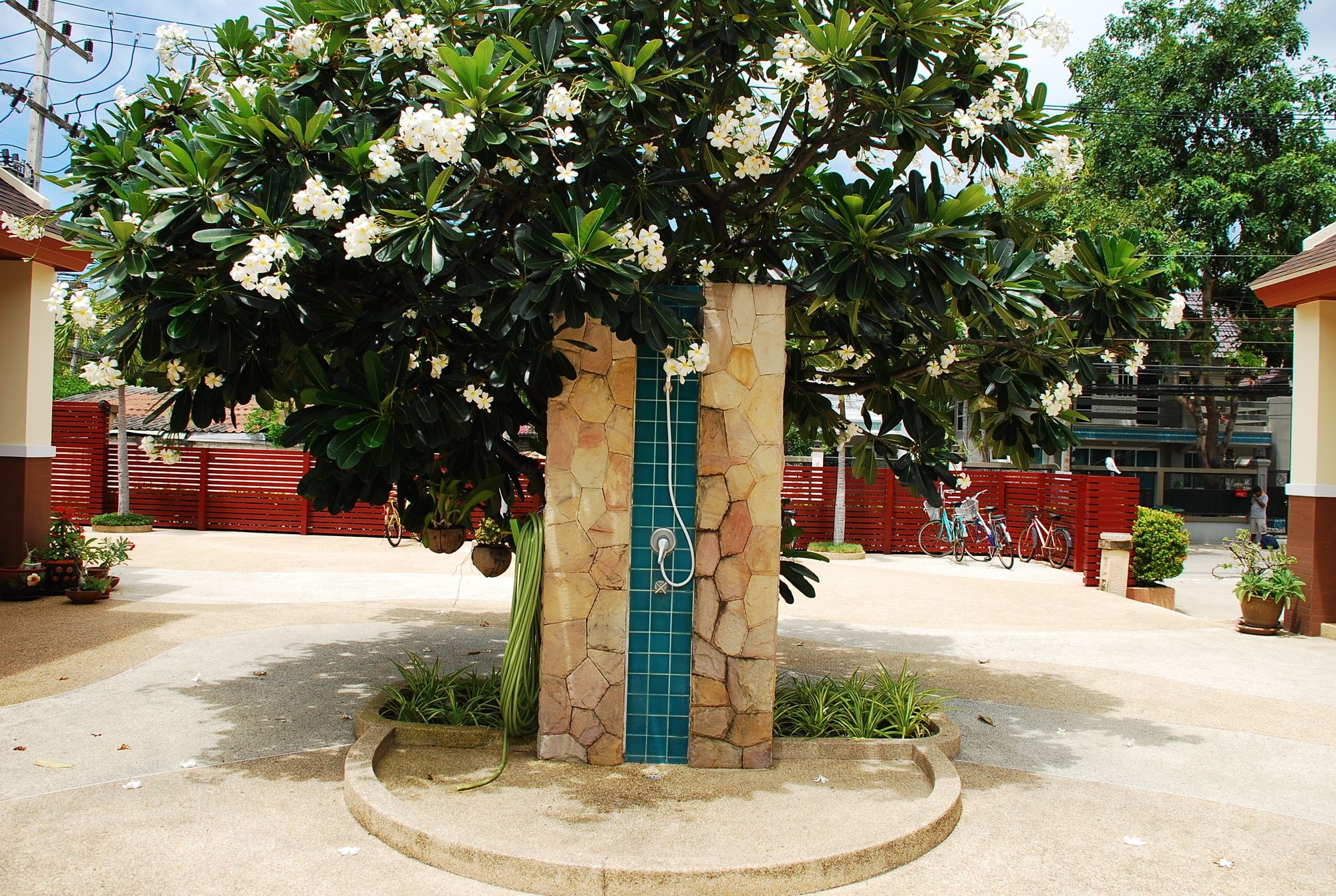 Фото Thai Paradise South