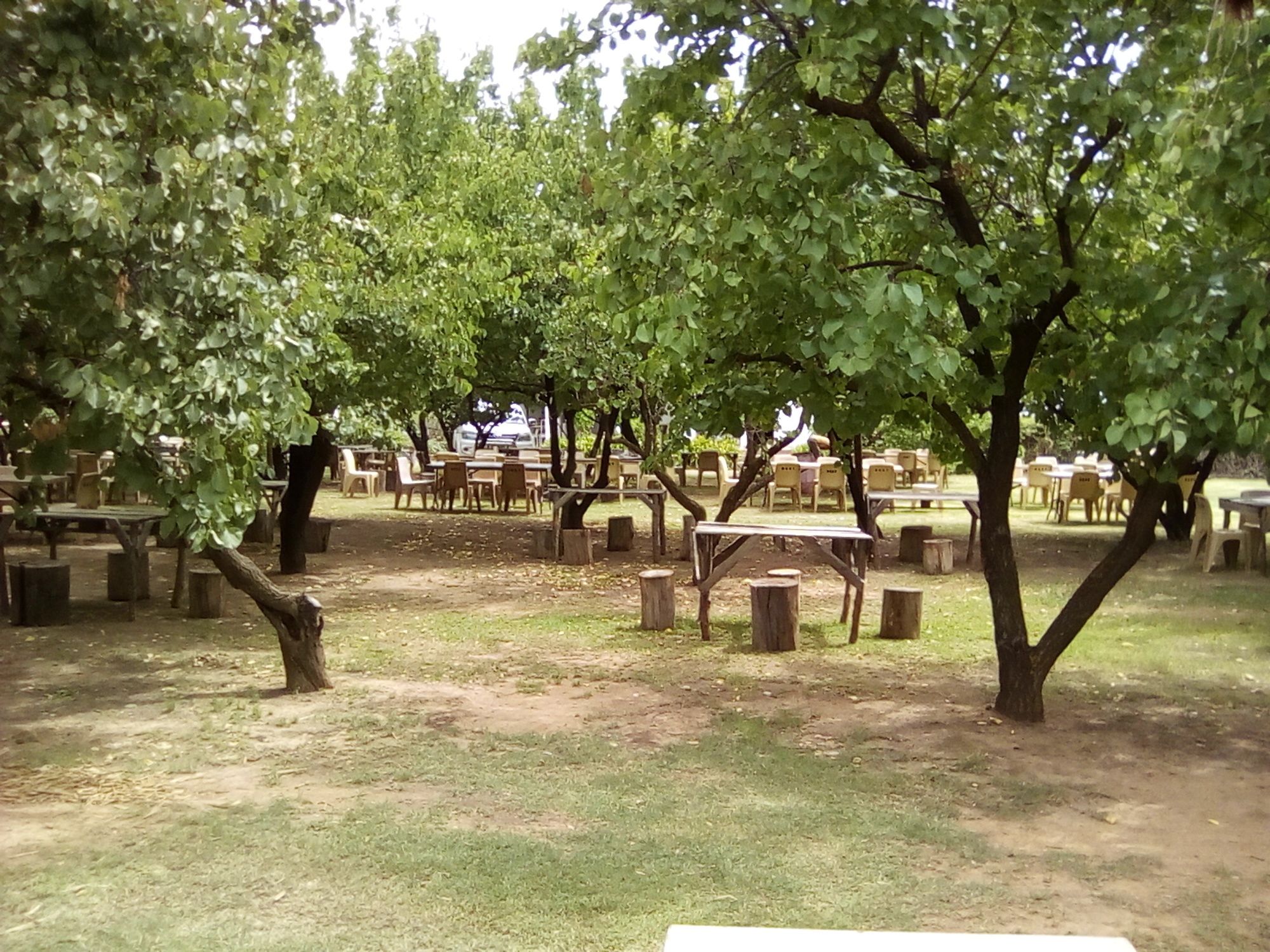 Фото Oue Werf Country House