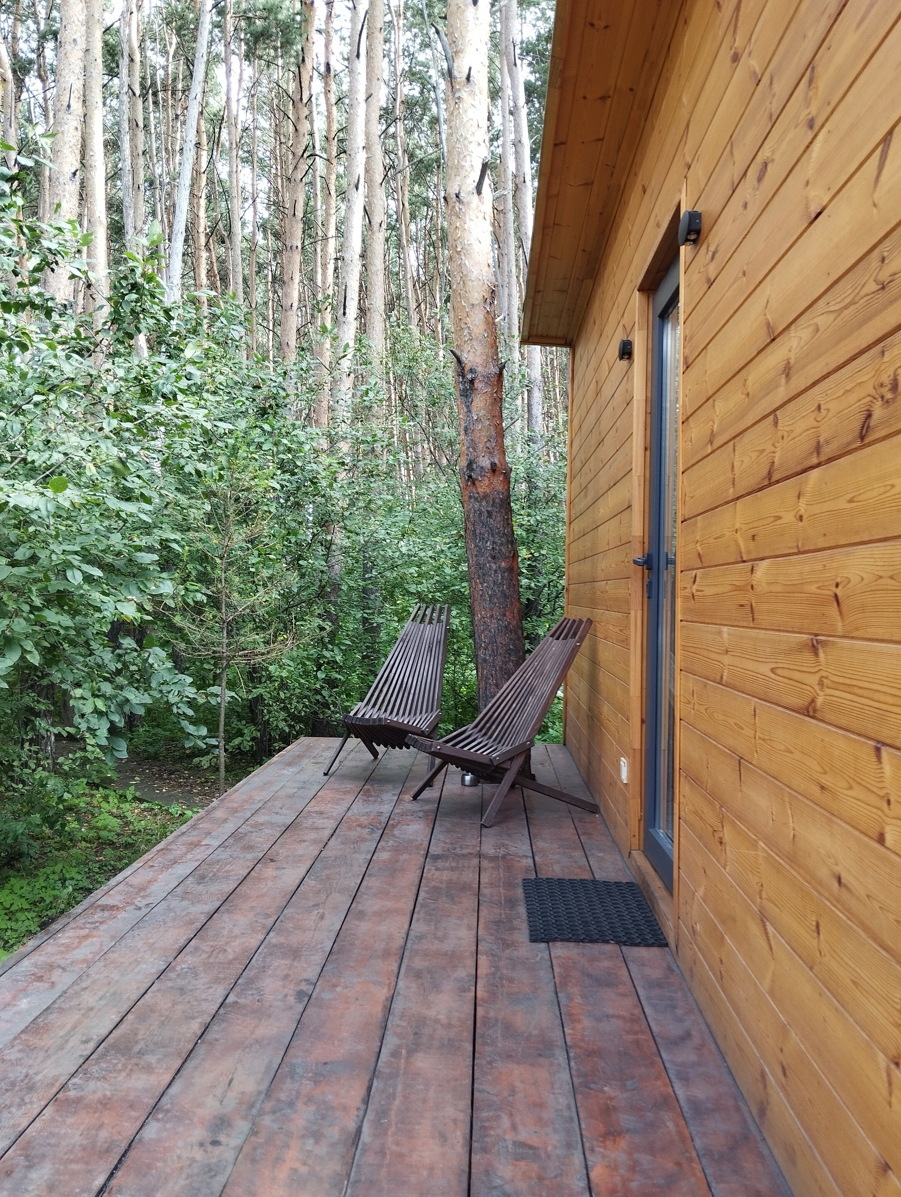 Фото Шалаш парк