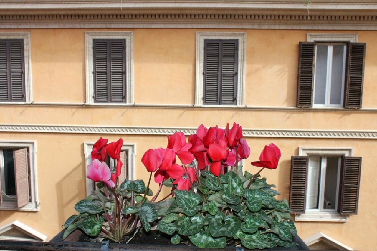 Фото Hotel Garda