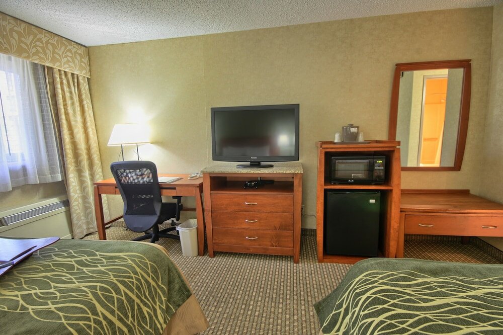 Фото Comfort Inn Near Greenfield Village