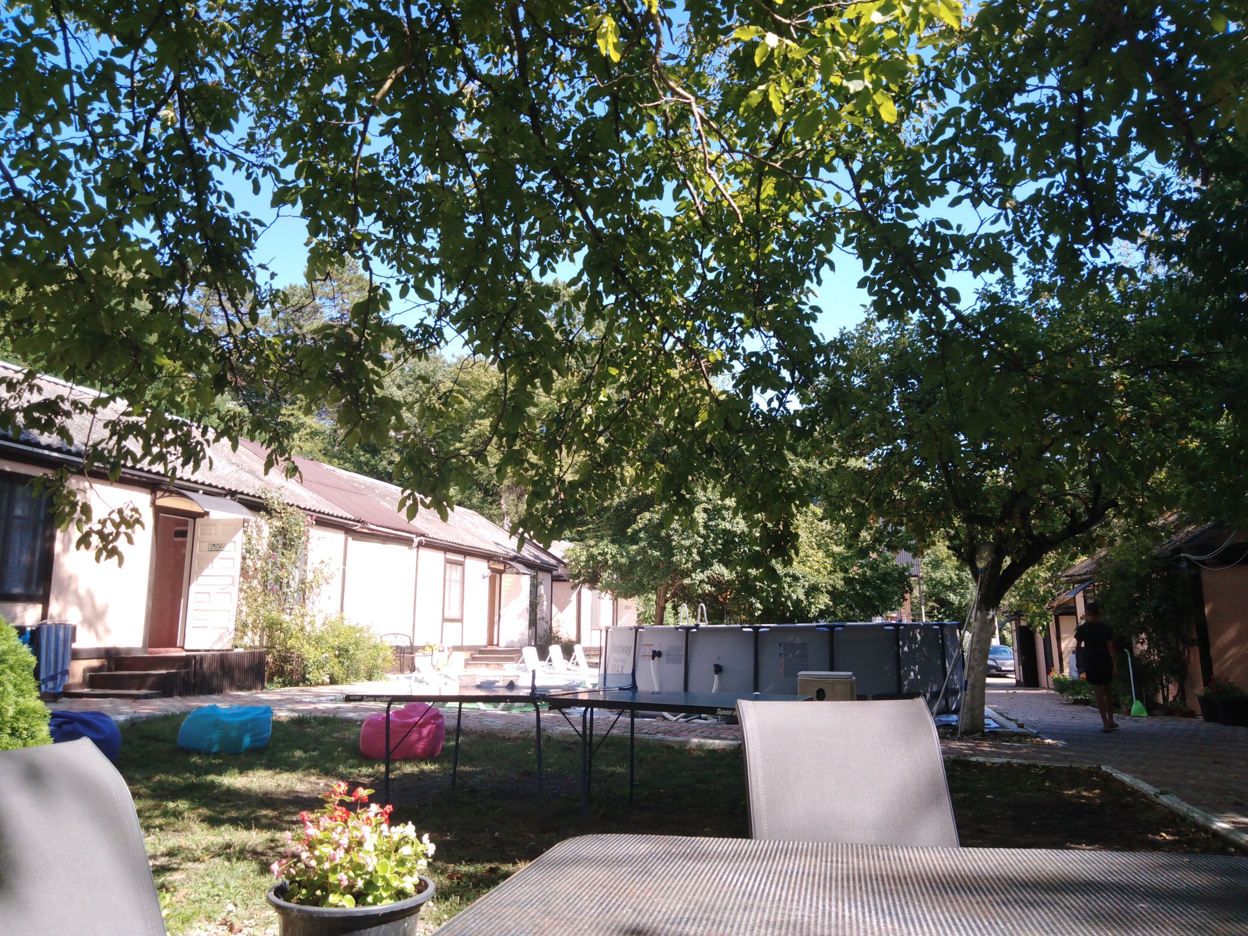 Фото Сосновый Бор