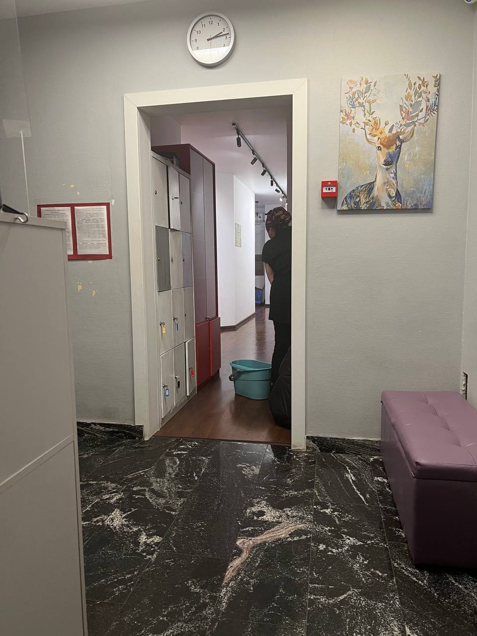 Фото Петя и Волк