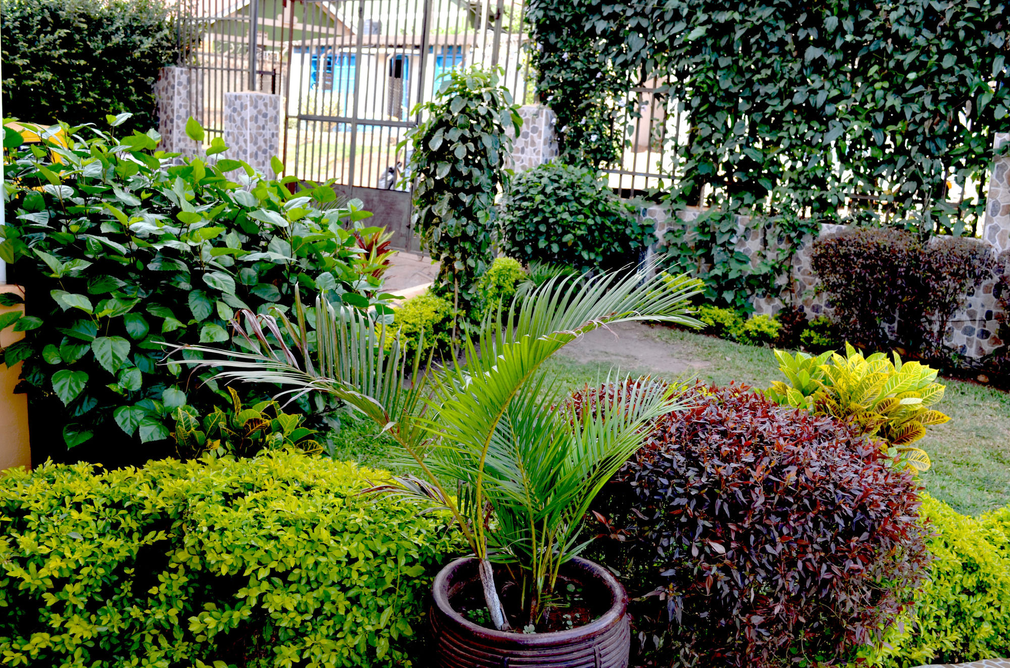 Фото Hotel Top Five