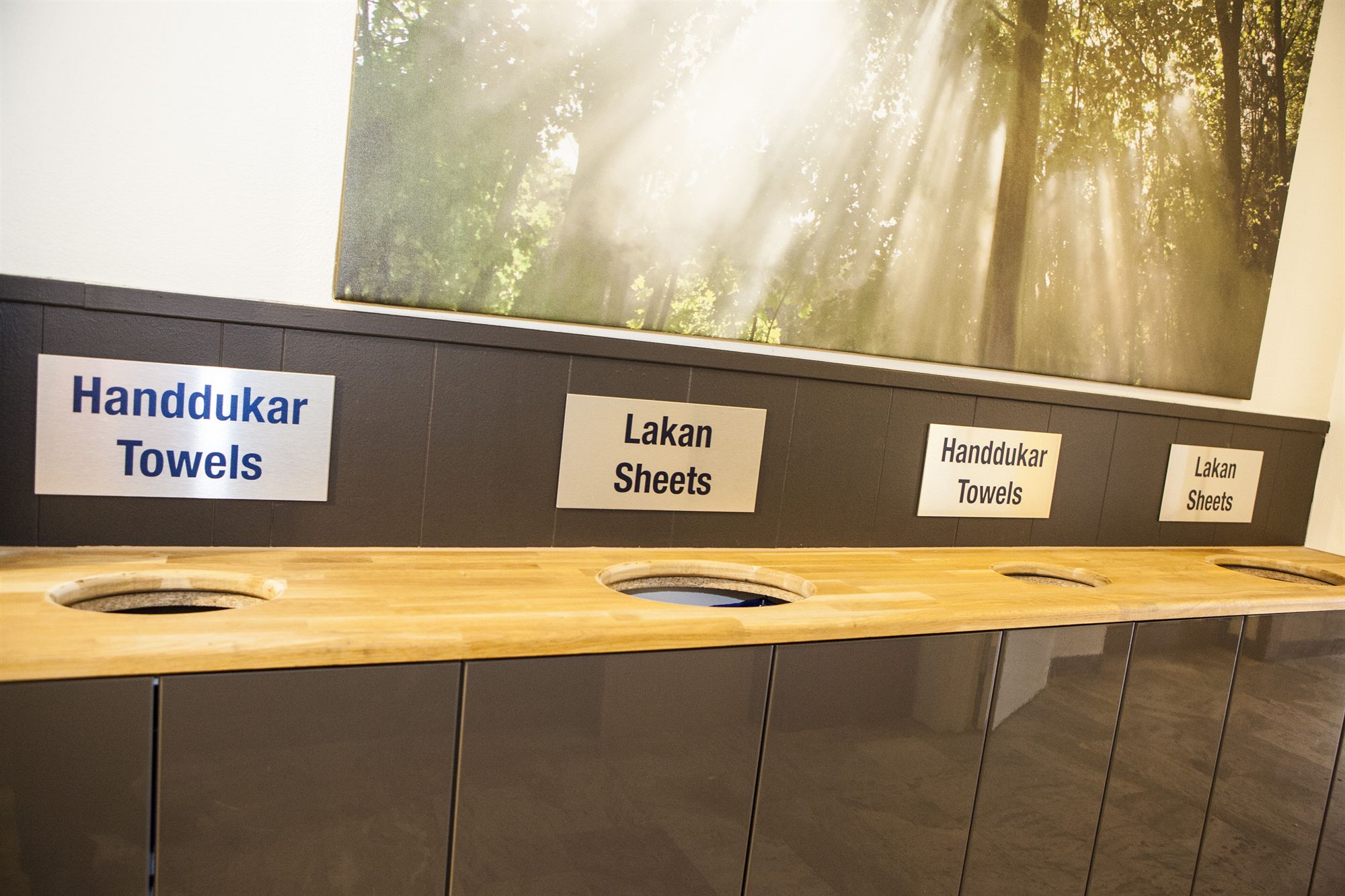 Фото Dream – Luxury Hostel