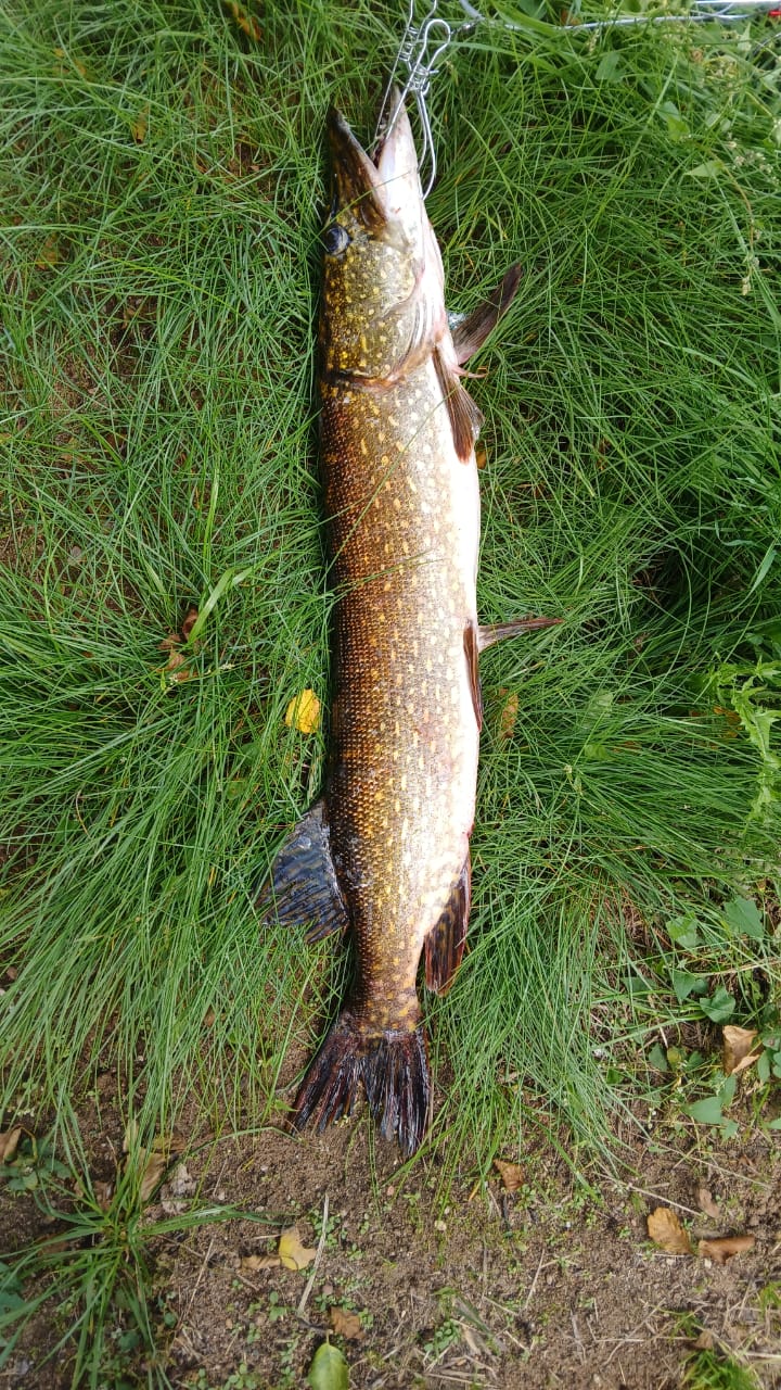 Фото Озерява