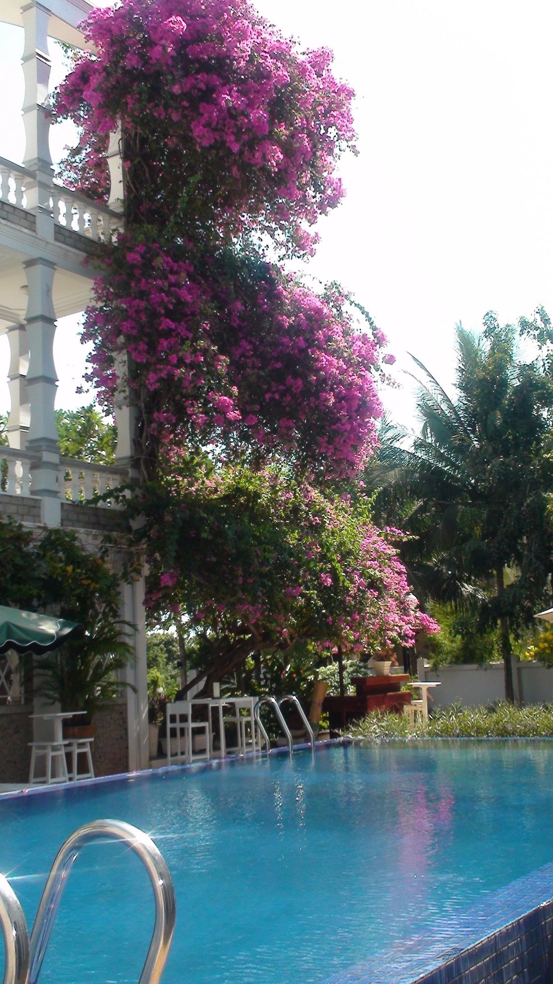 Фото 178835307670