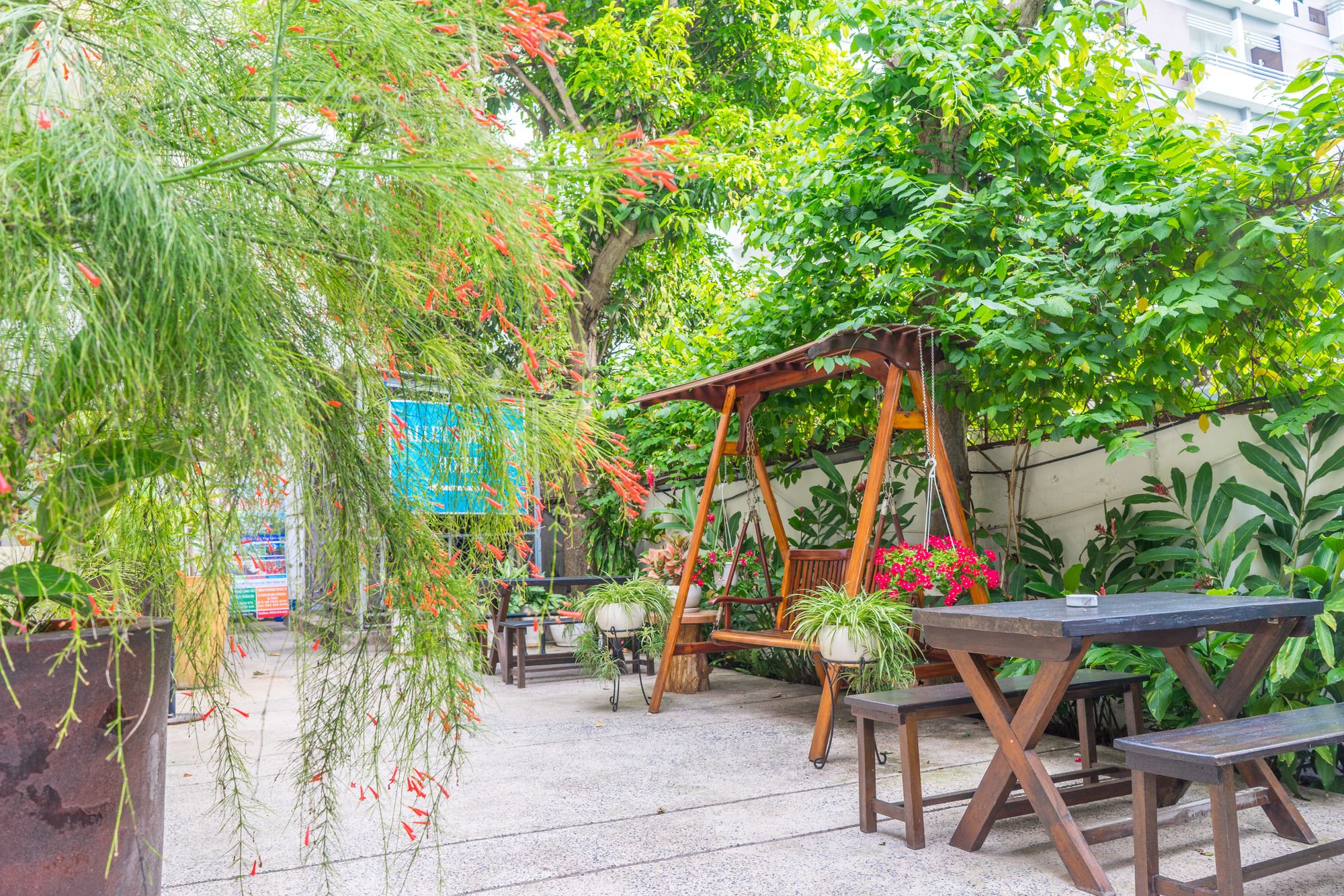 Фото 178835307670