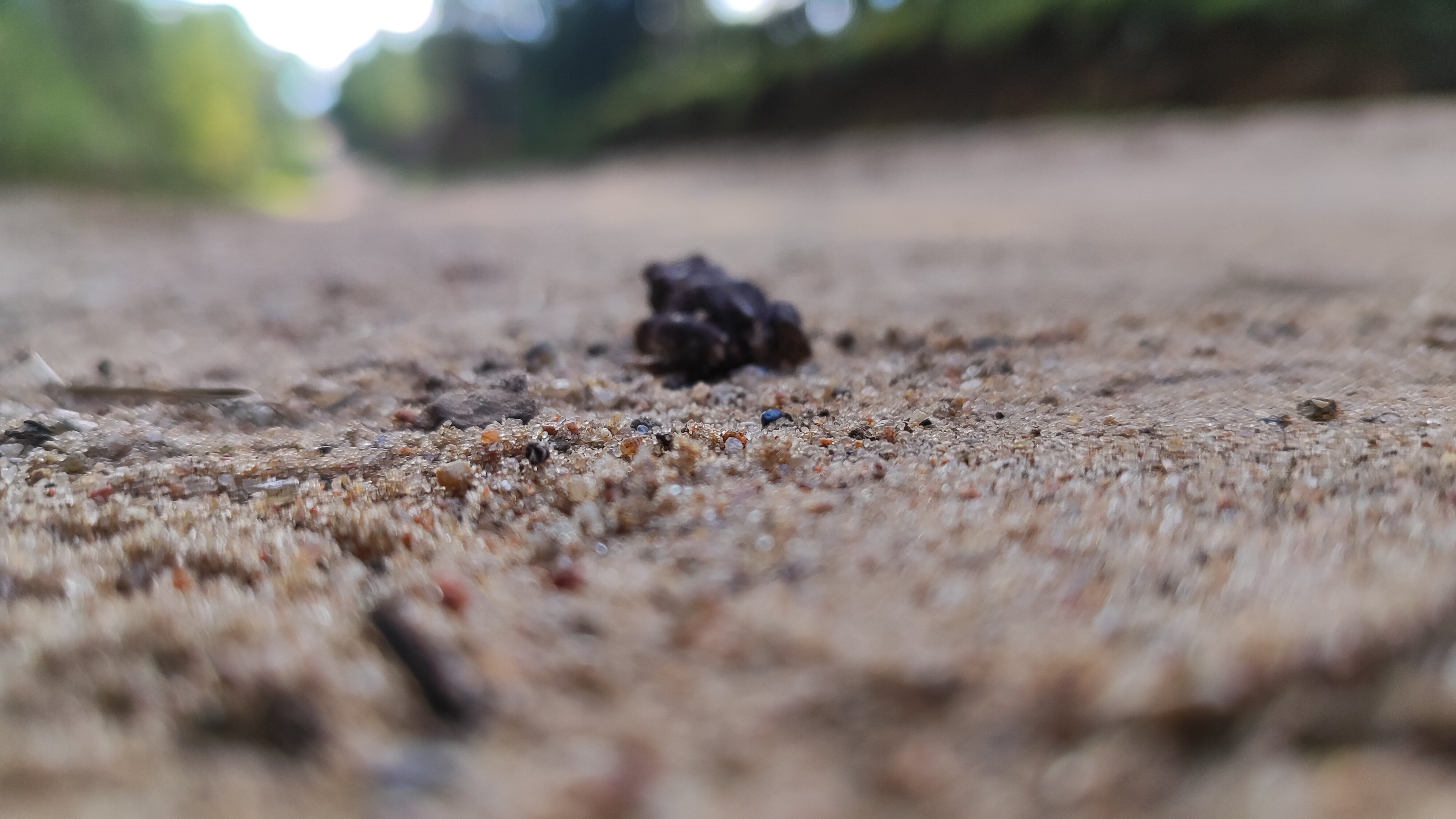 Фото Шиловка