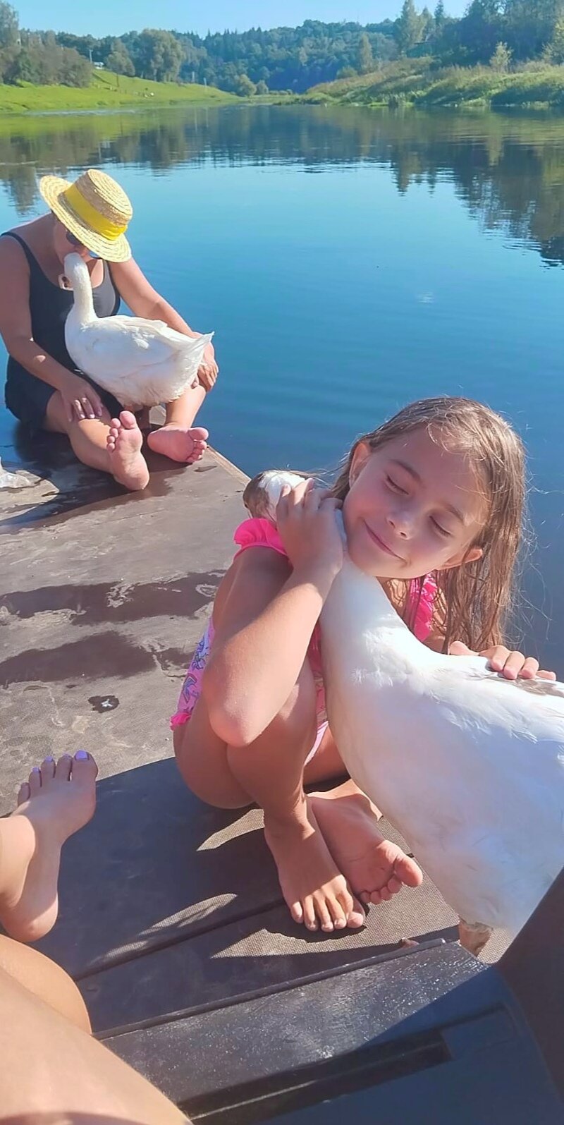 Фото Веселые гуси