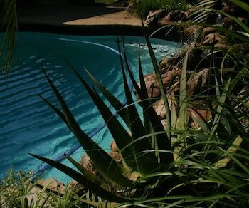 Фото The Saffron House