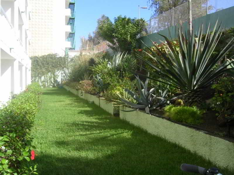 Фото Apartamentos Los Aguacates