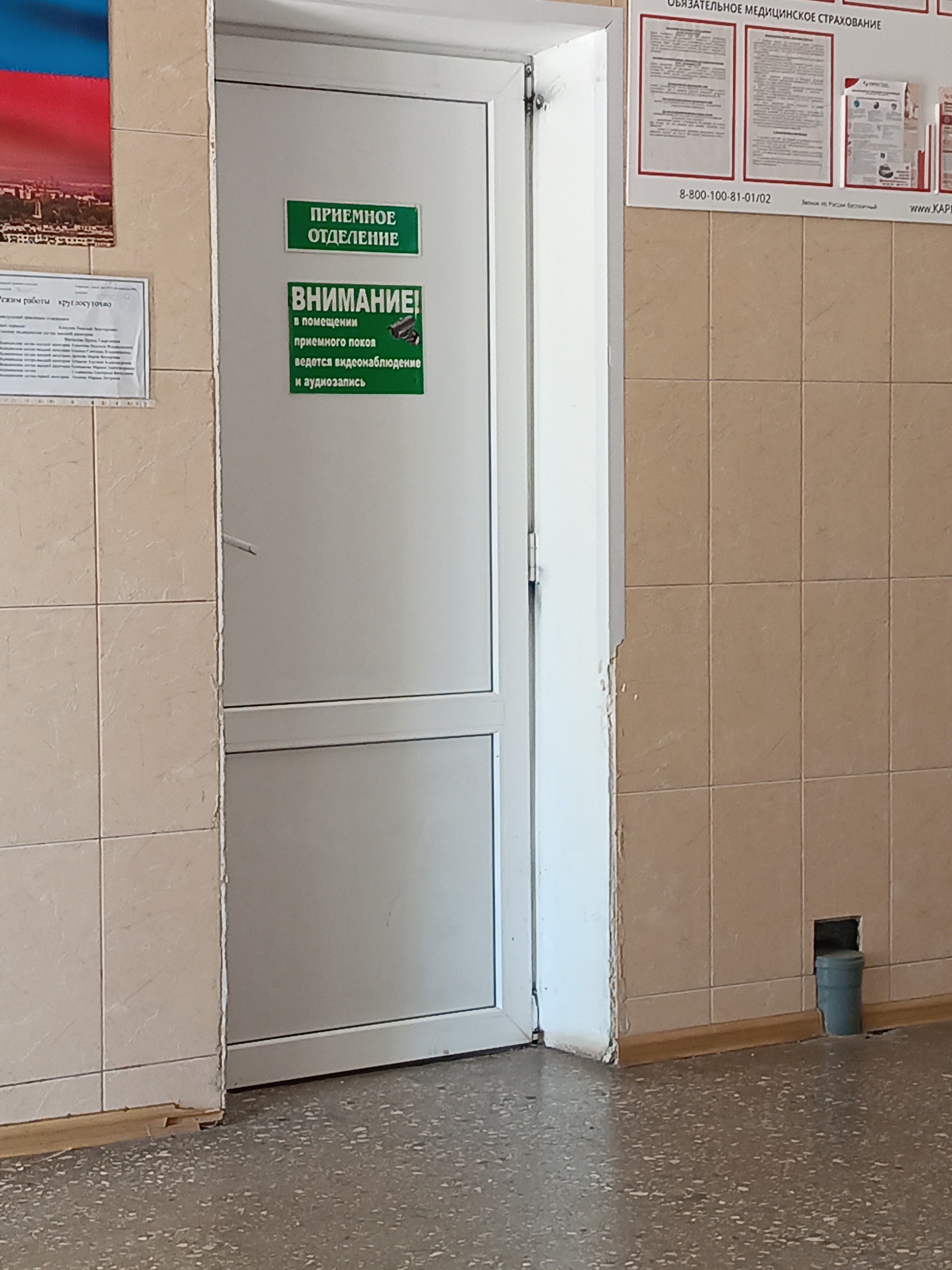 Фото Медведица