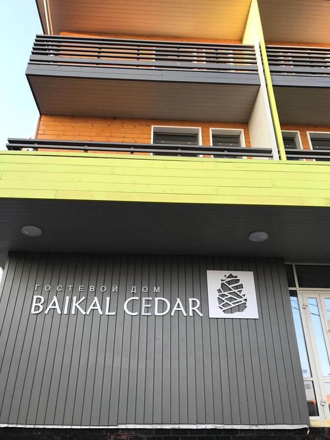 Фото Байкал Кедр