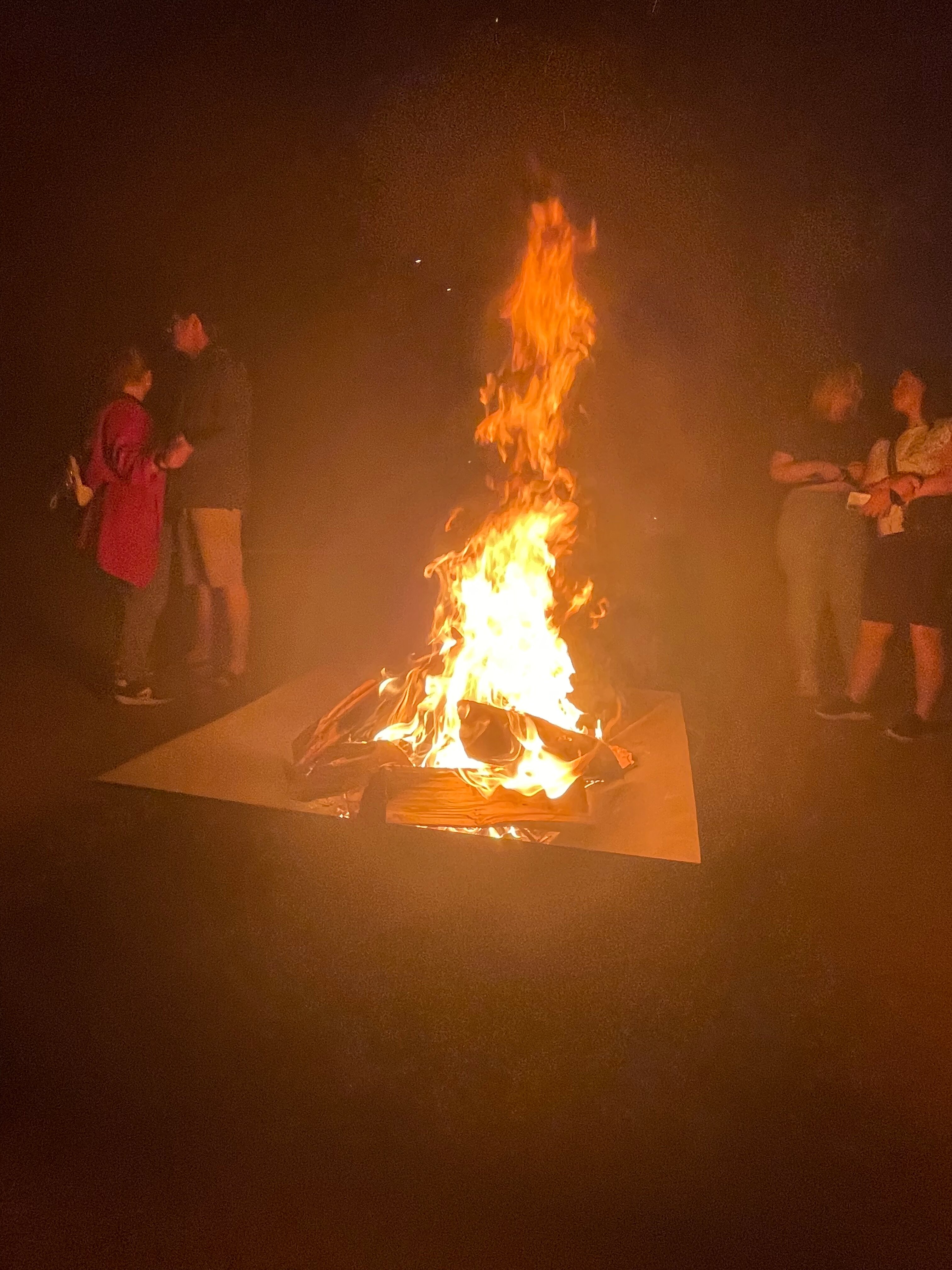 Фото Парк-отель Макаренко