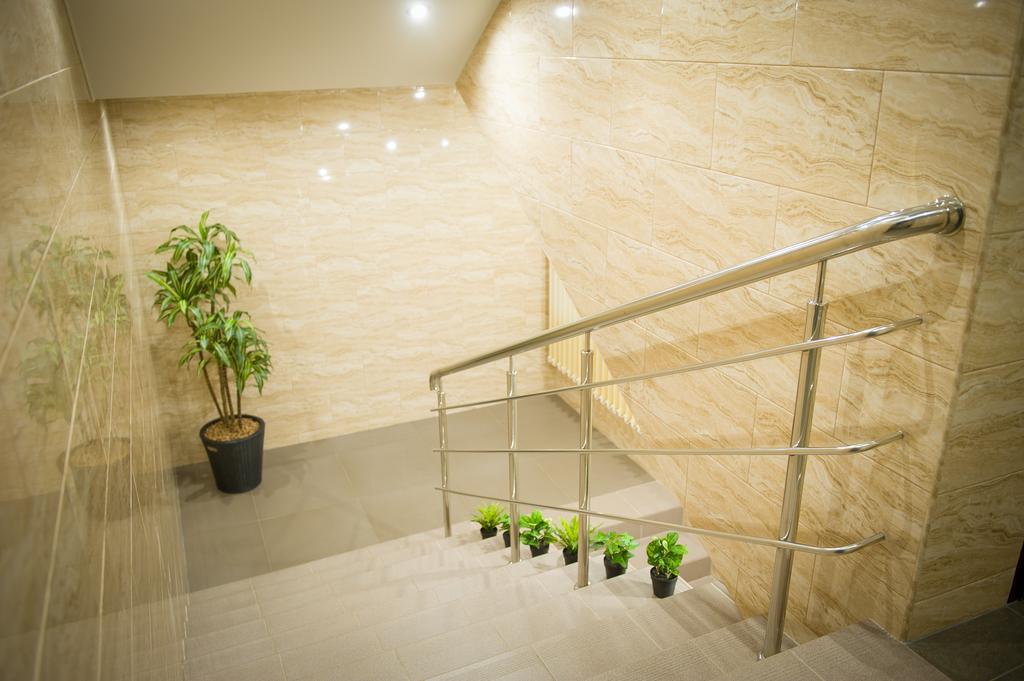 Фото Дружба