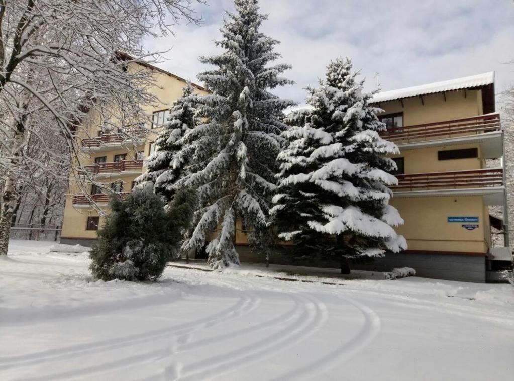 Фото Динамо