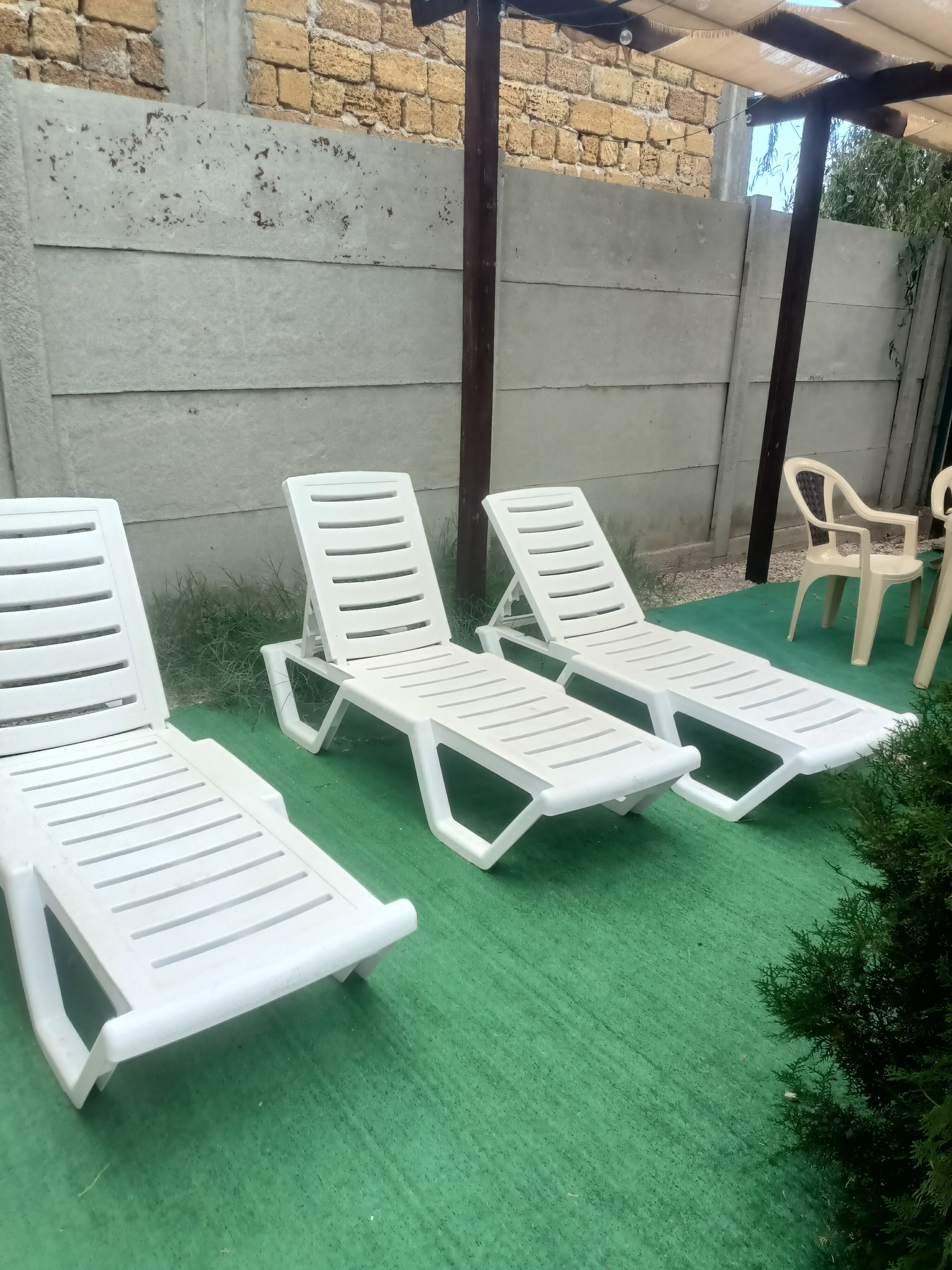 Фото Судак-тудак