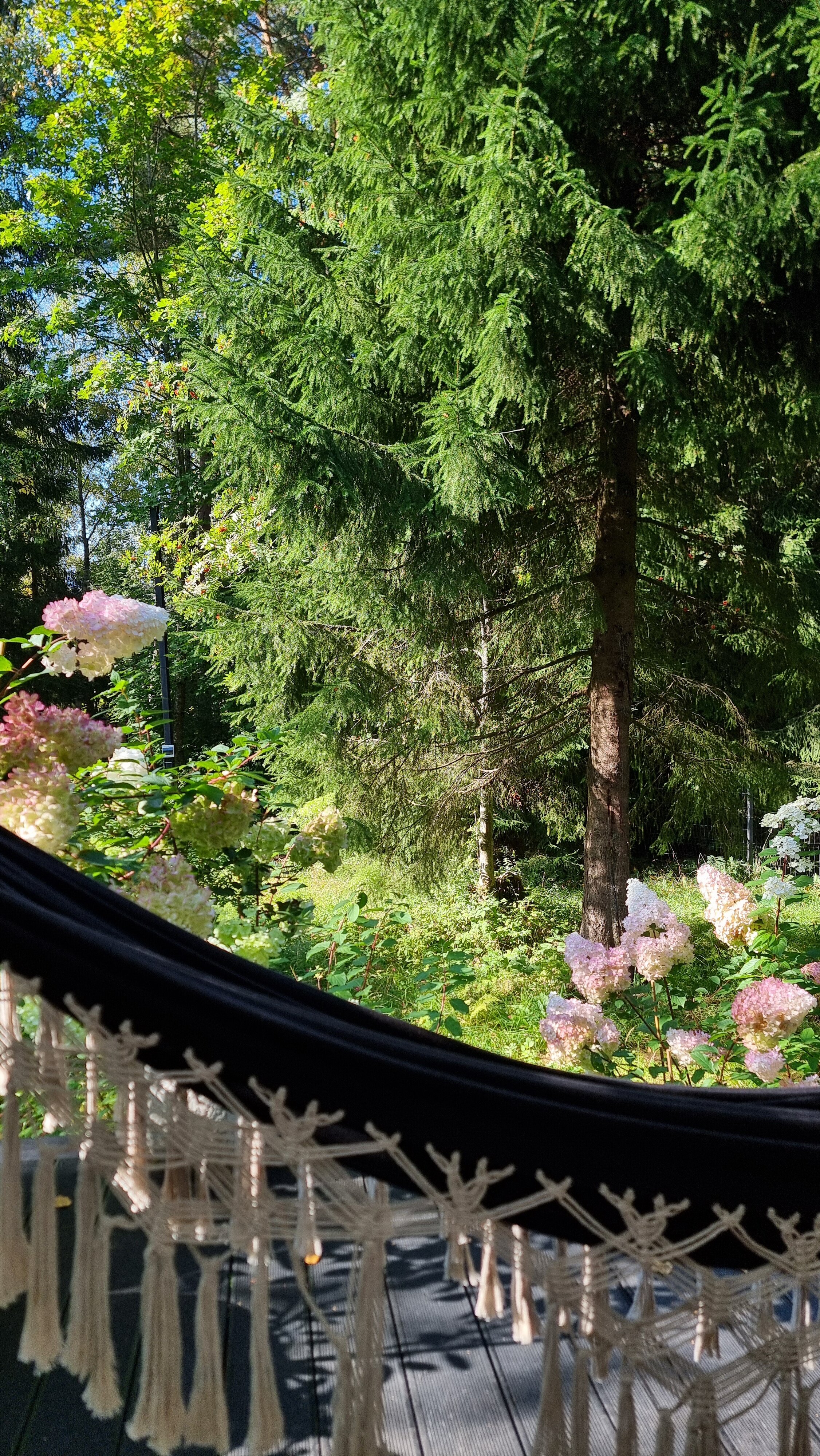 Фото Солнечные дачи