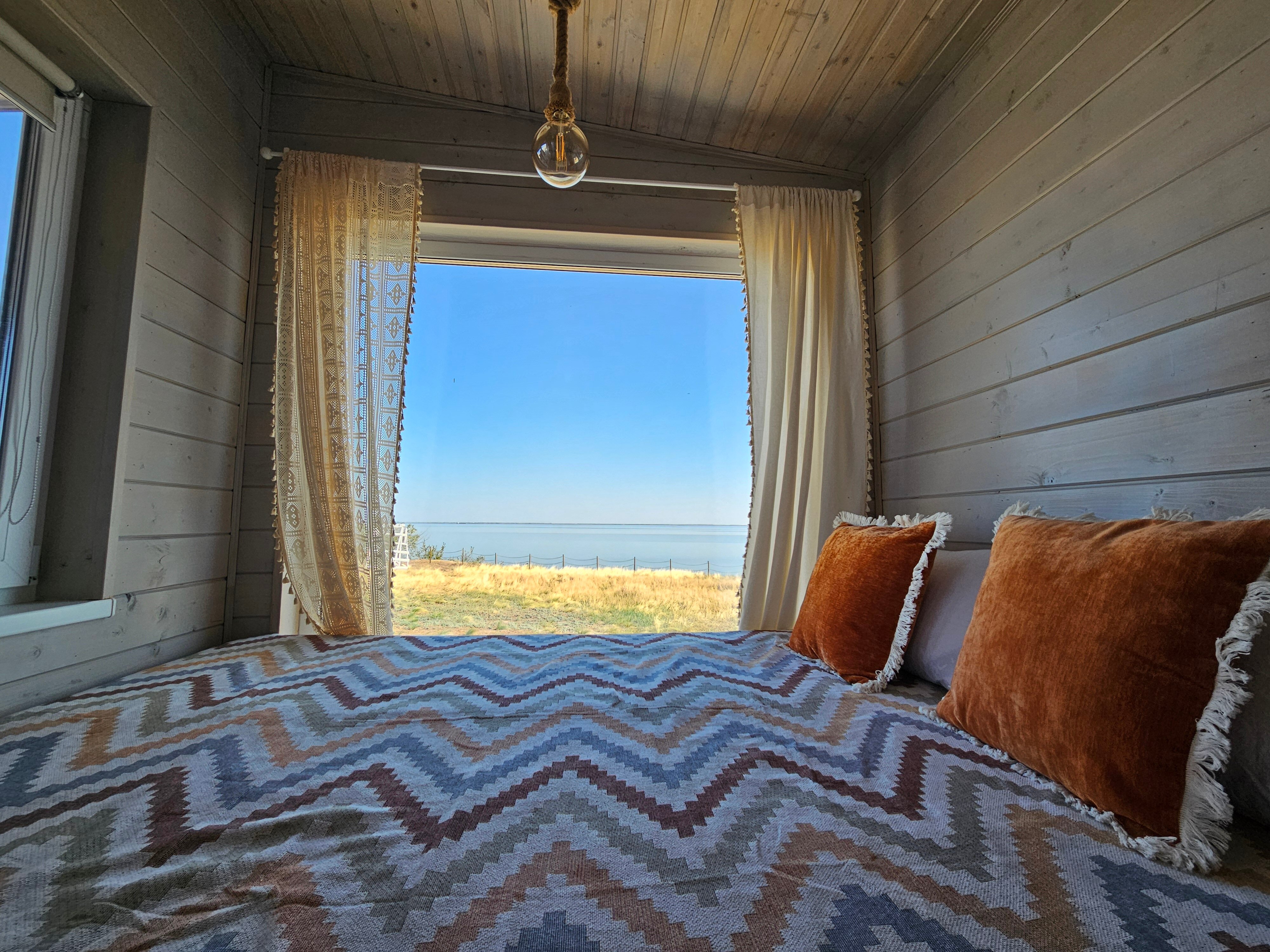 Фото Полынь