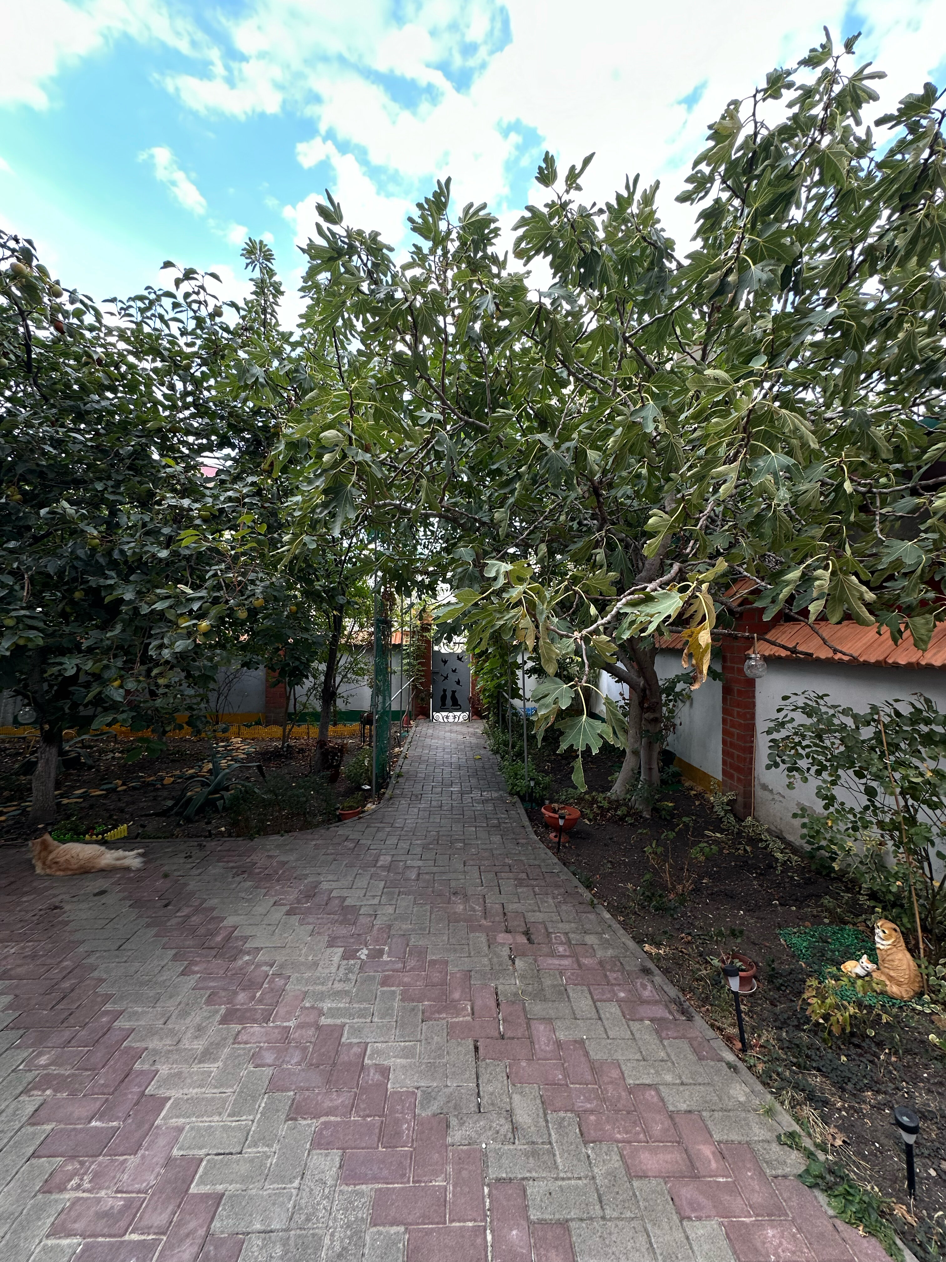 Фото Натали