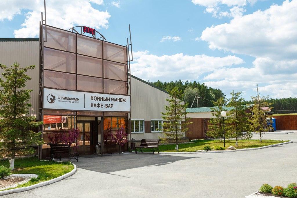 Фото Белая лошадь