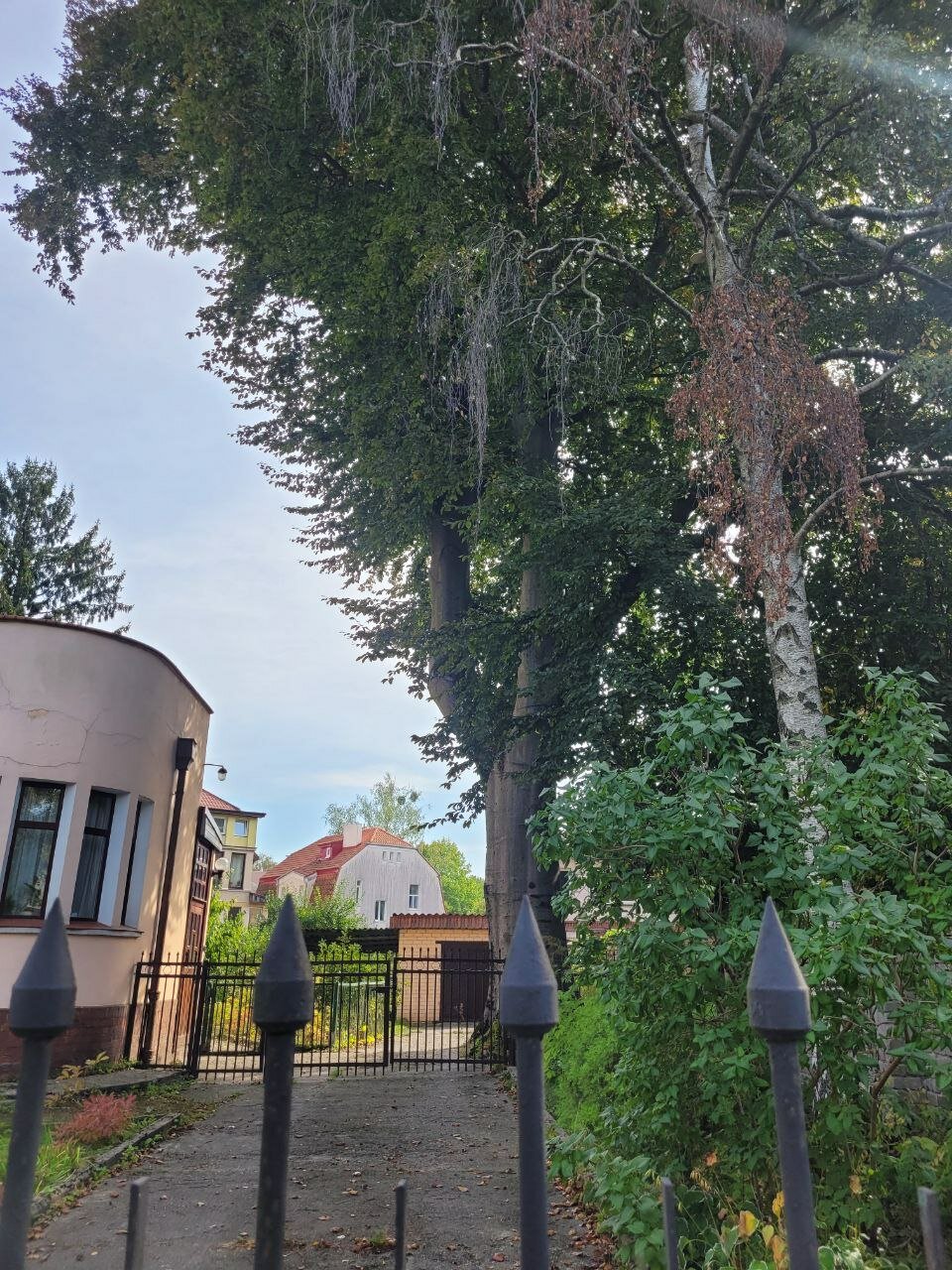 Фото Апартаменты Вилла Амалиенау