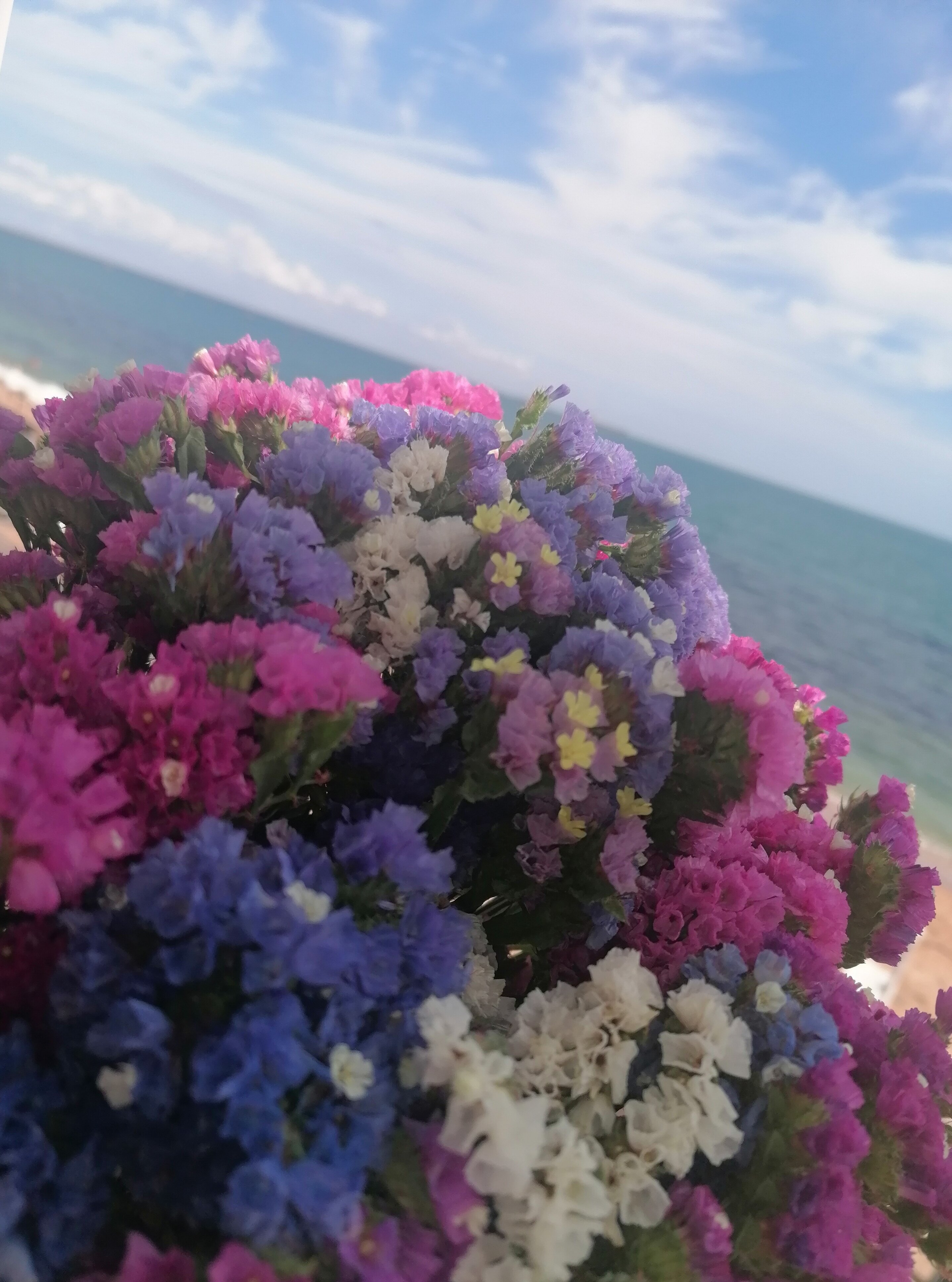 Фото Галавилла