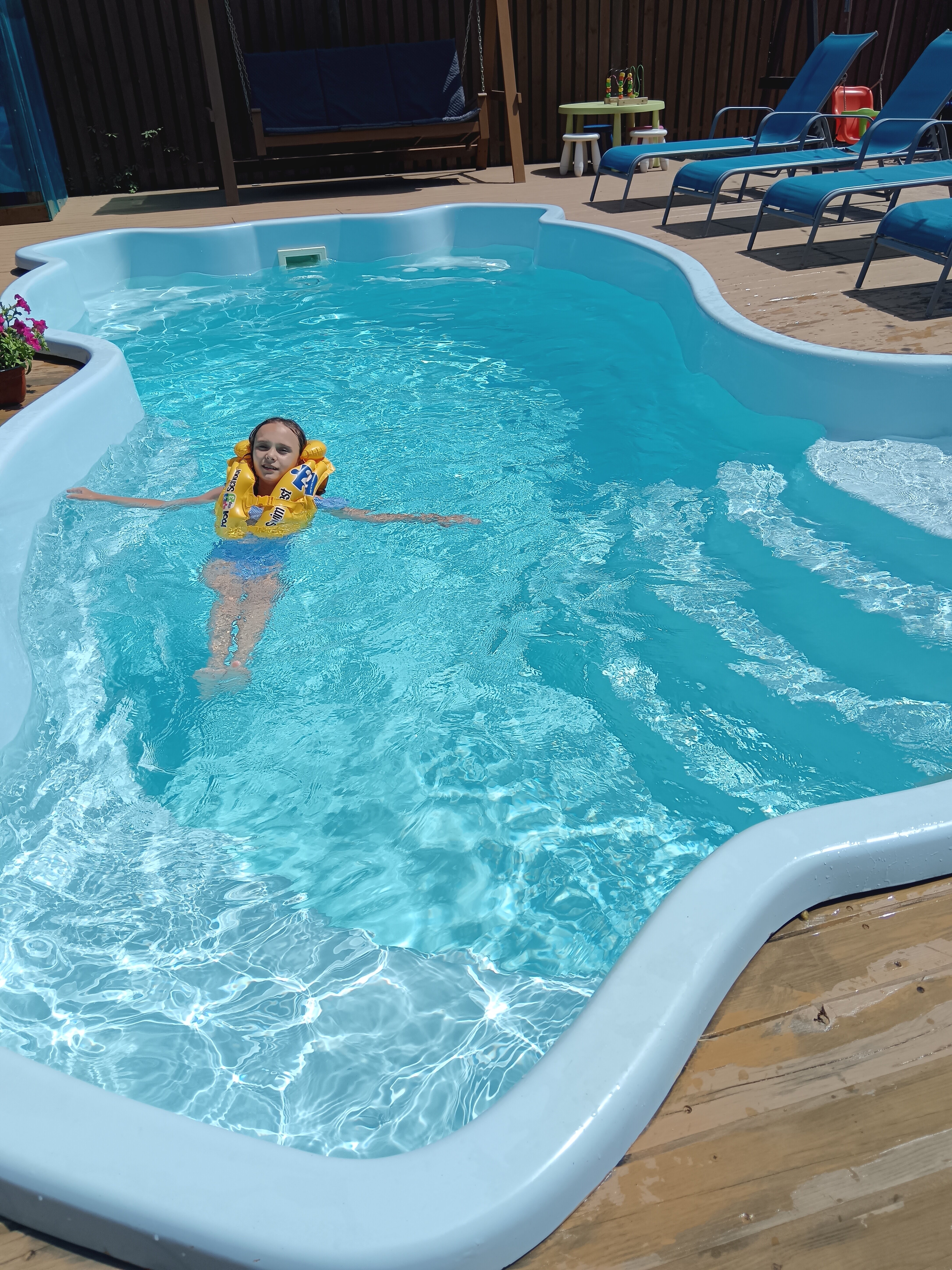 Фото Солнечная орхидея