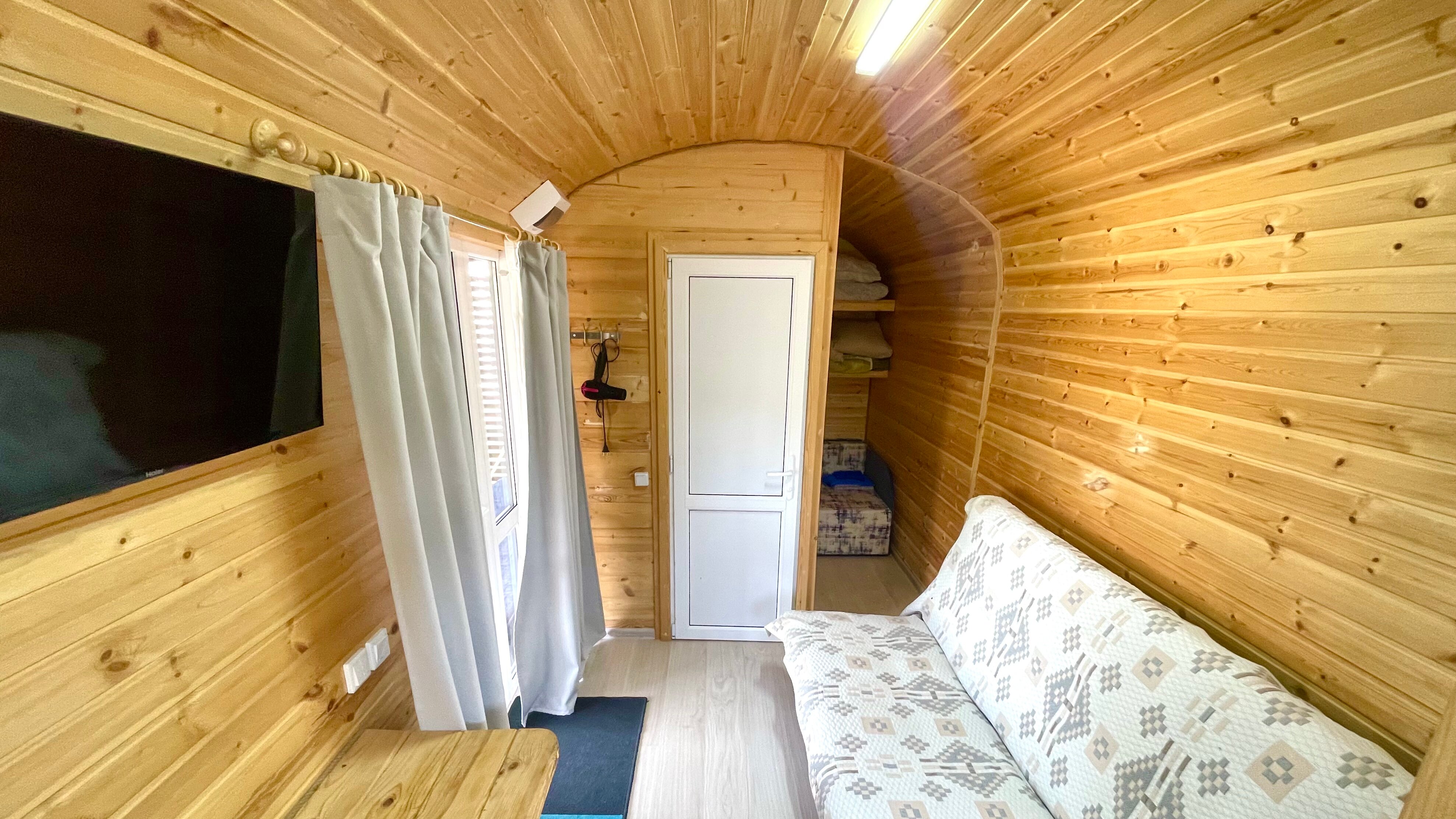 Фото Дельфин