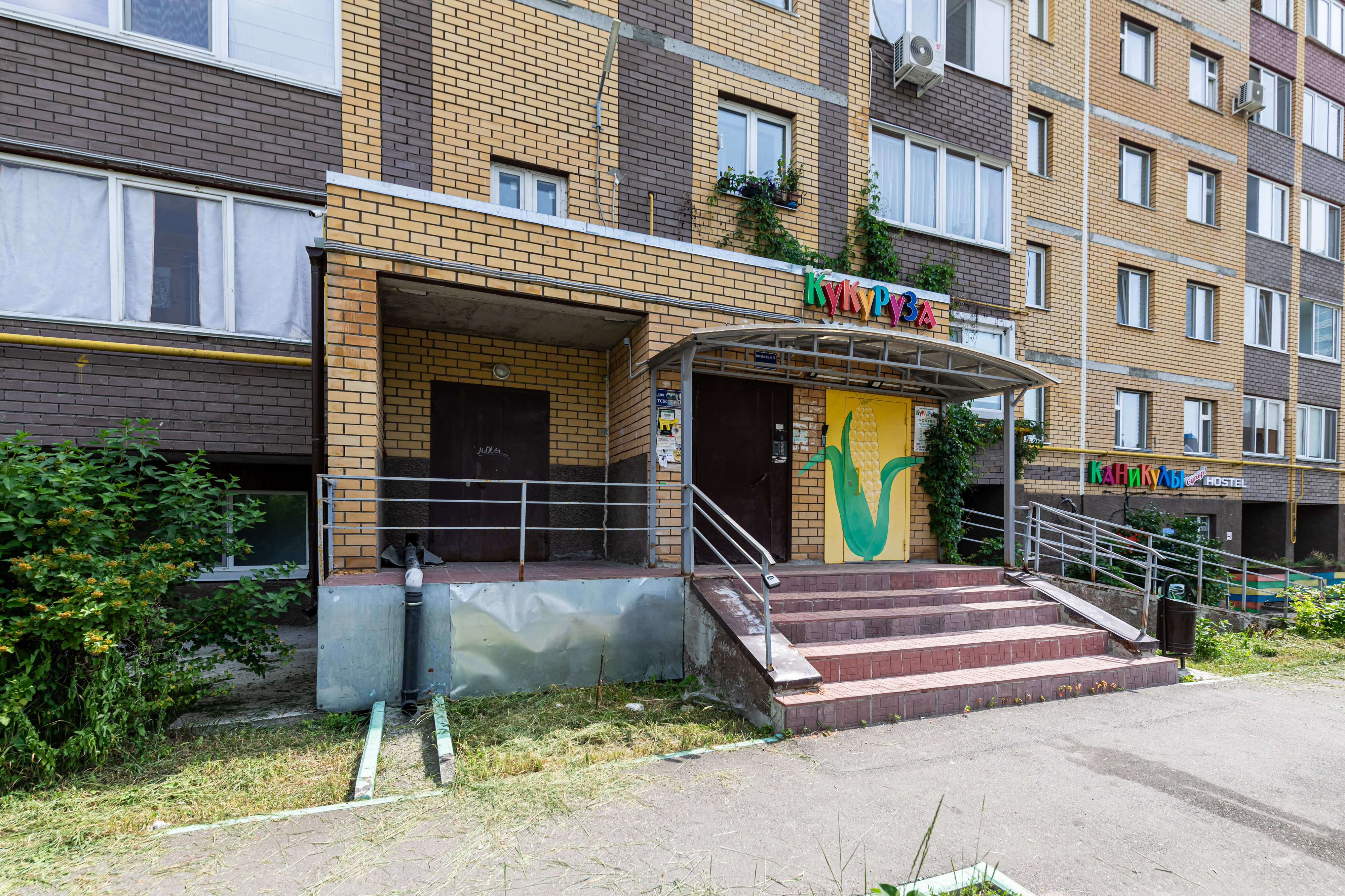 Фото Кукуруза