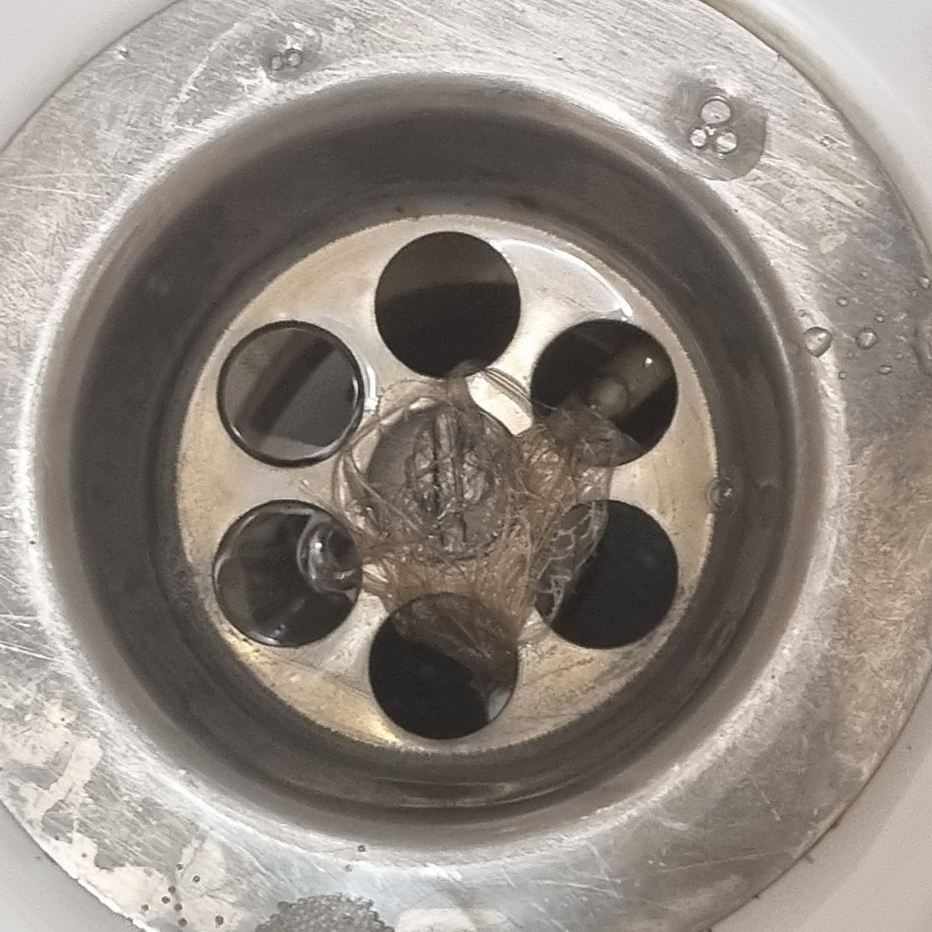 Фото Нептун